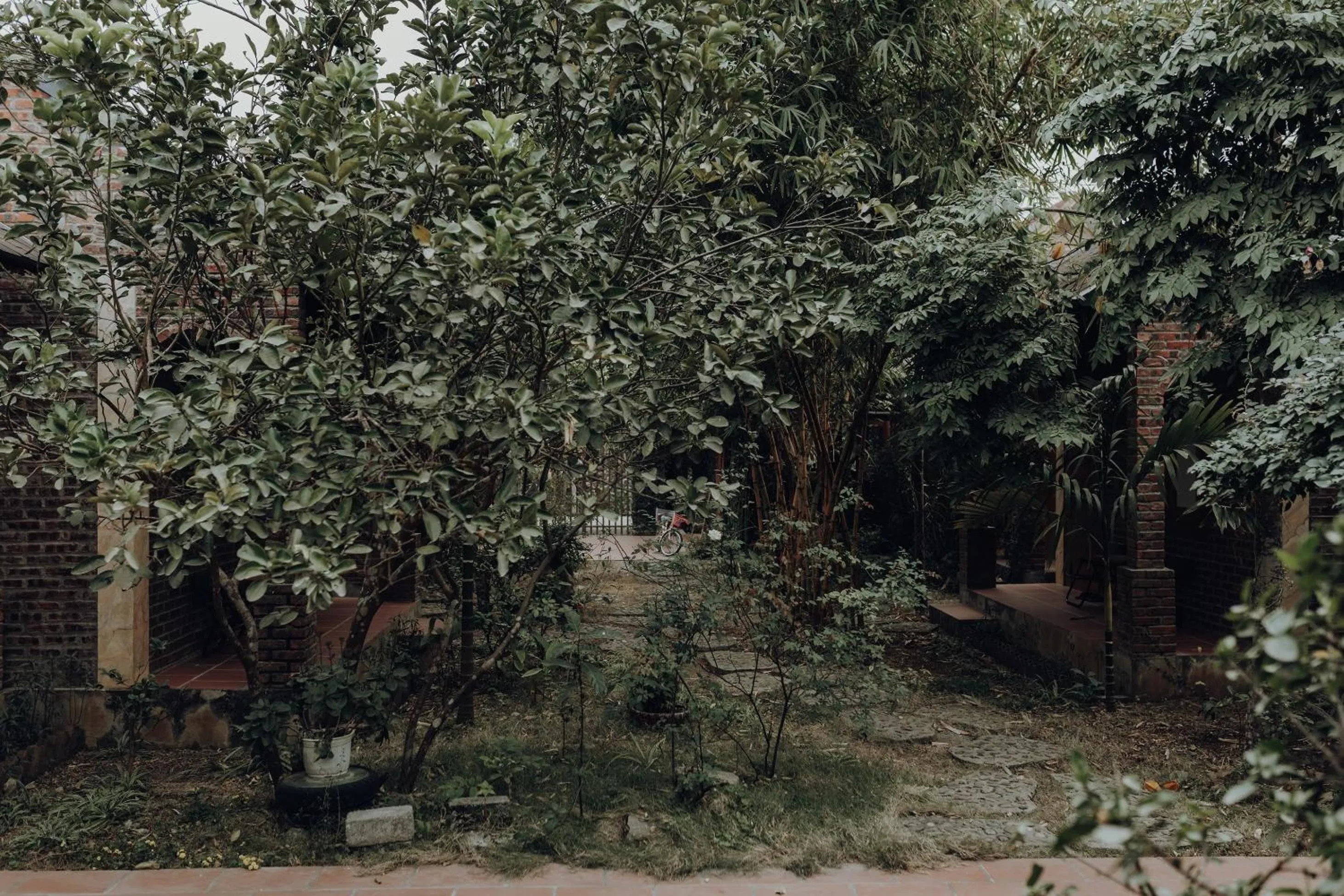 Garden view in Ninh Binh Palm Homestay