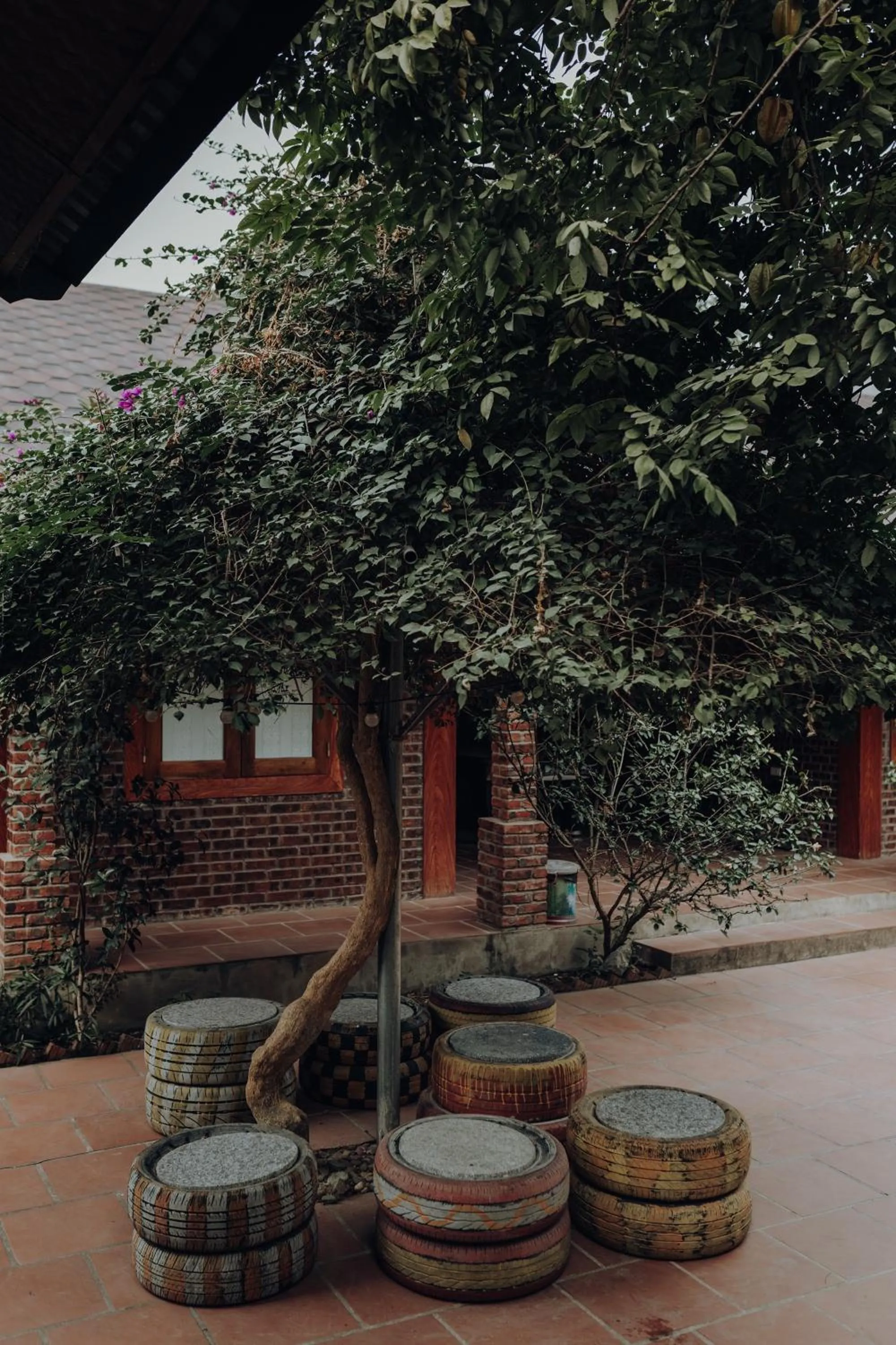Garden view in Ninh Binh Palm Homestay