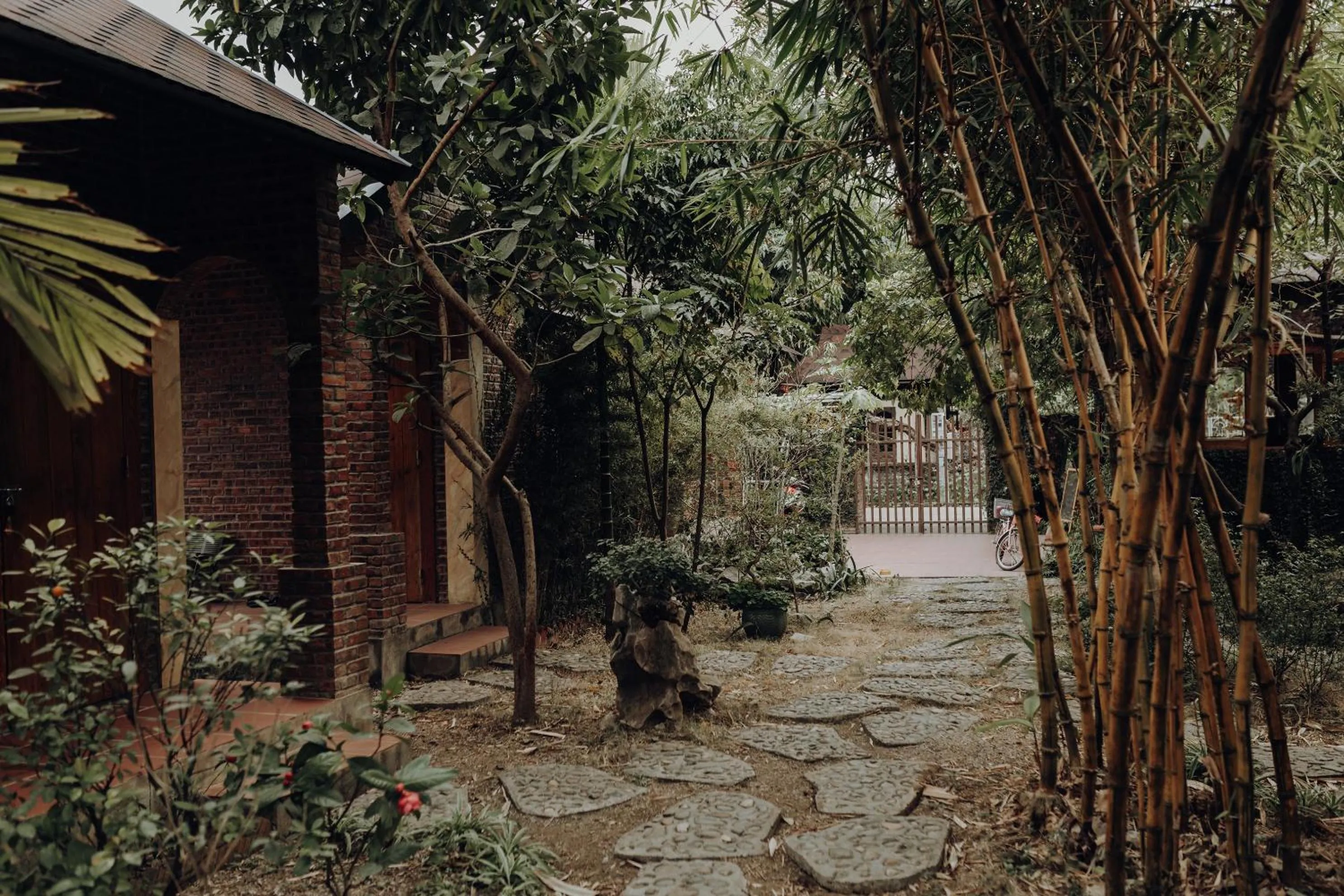 Ninh Binh Palm Homestay