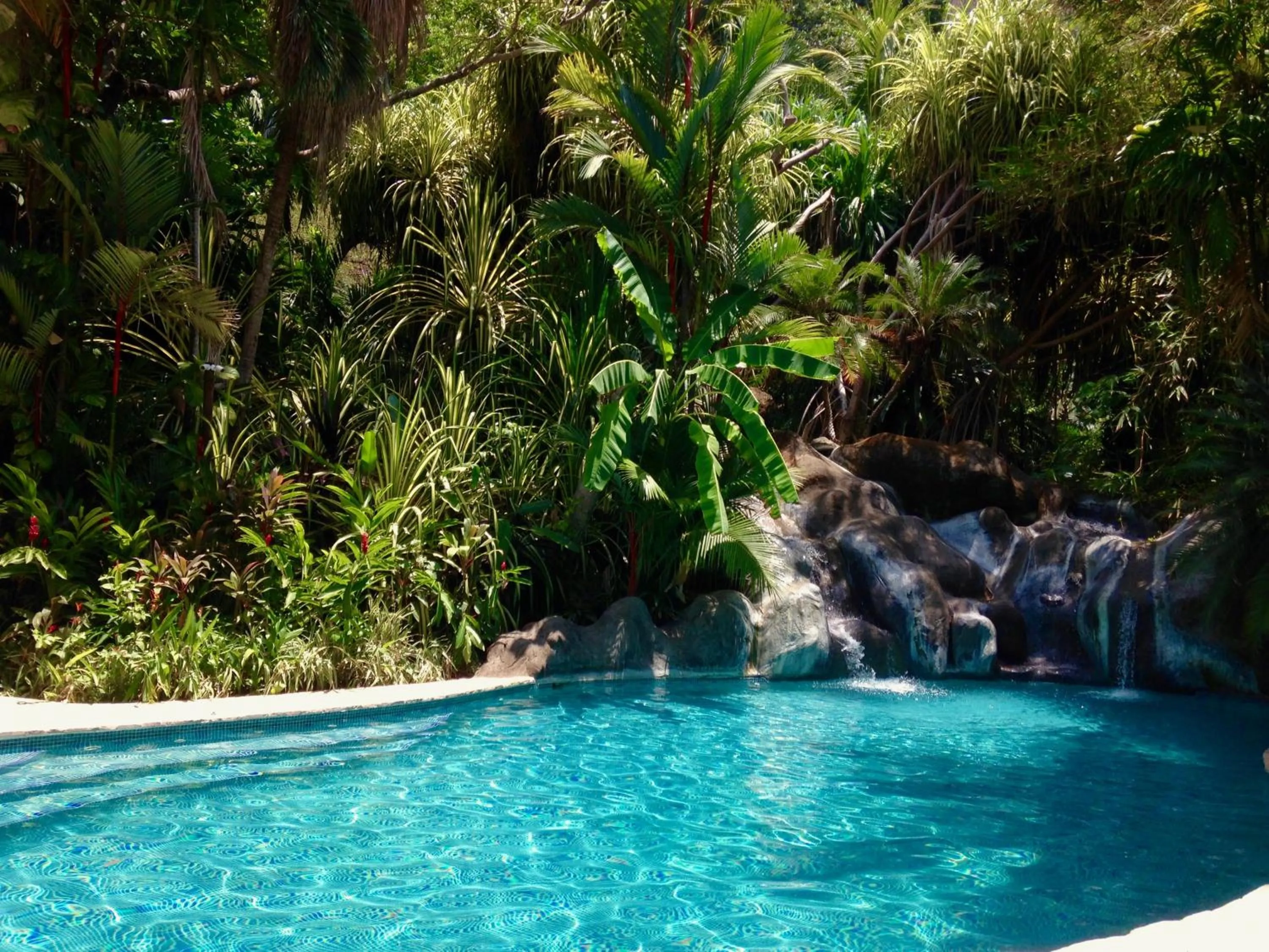 Swimming pool in El Sano Banano Beachside Hotel