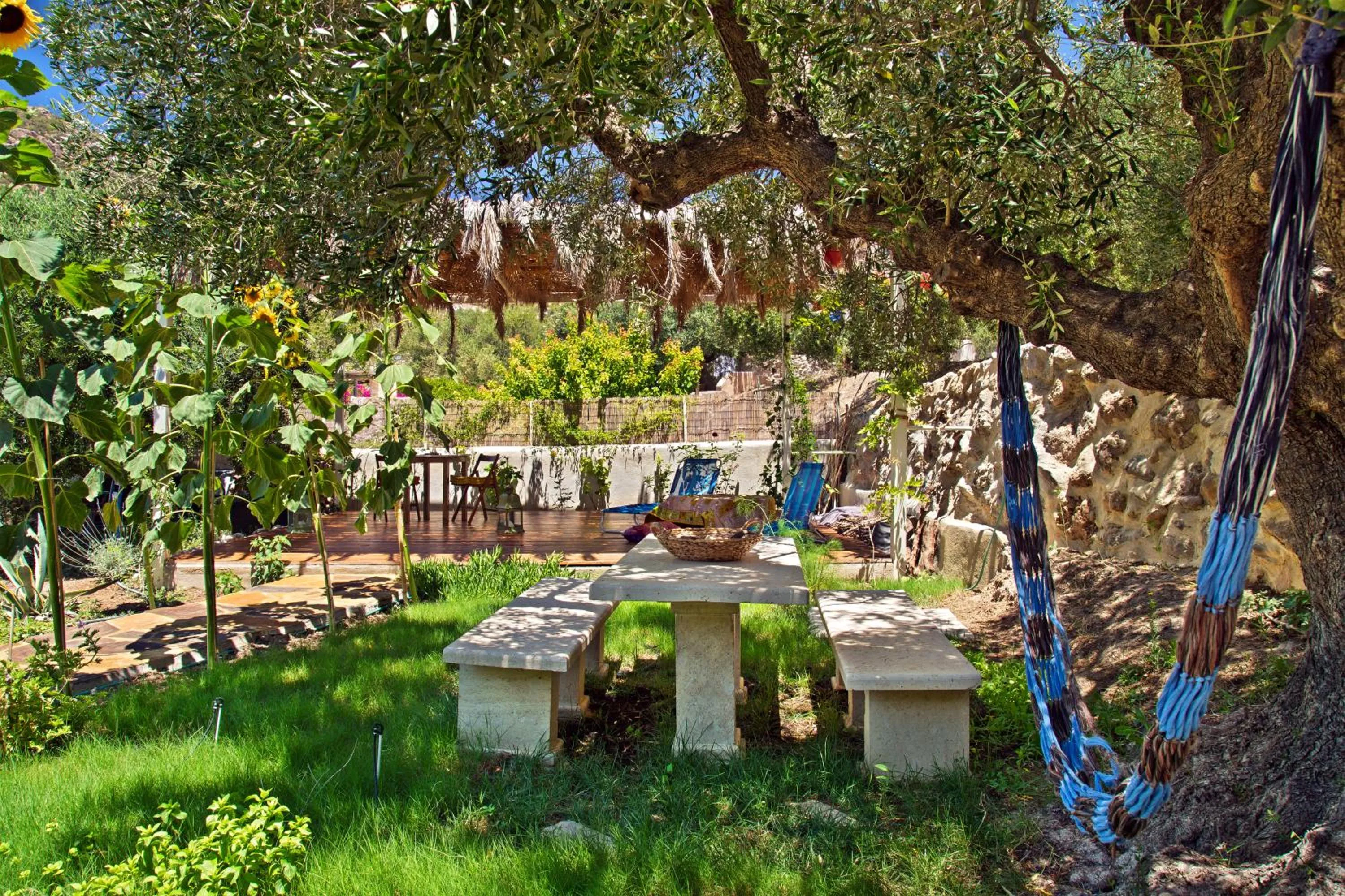 Day in Natura cottages