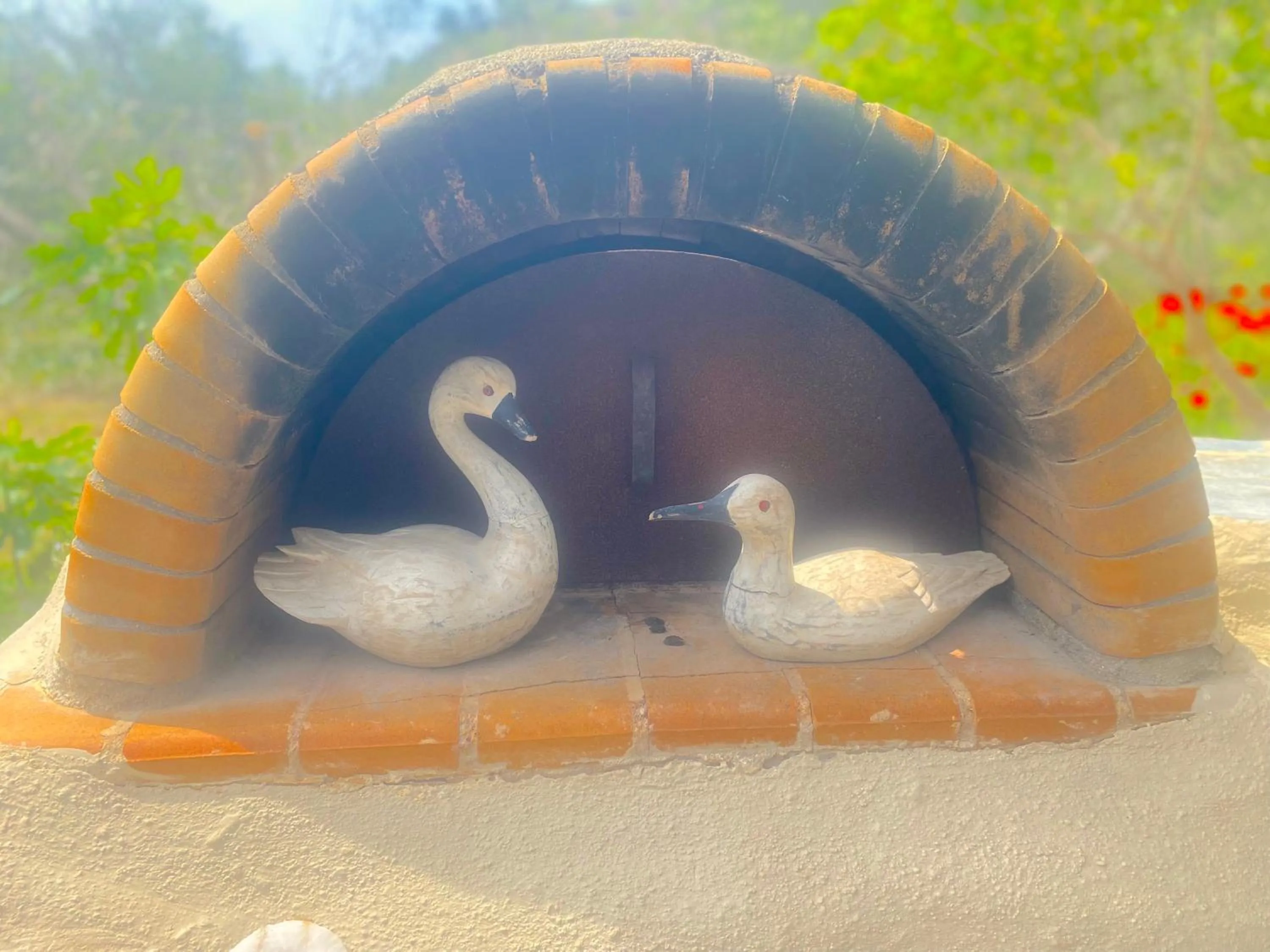 Garden in Natura cottages
