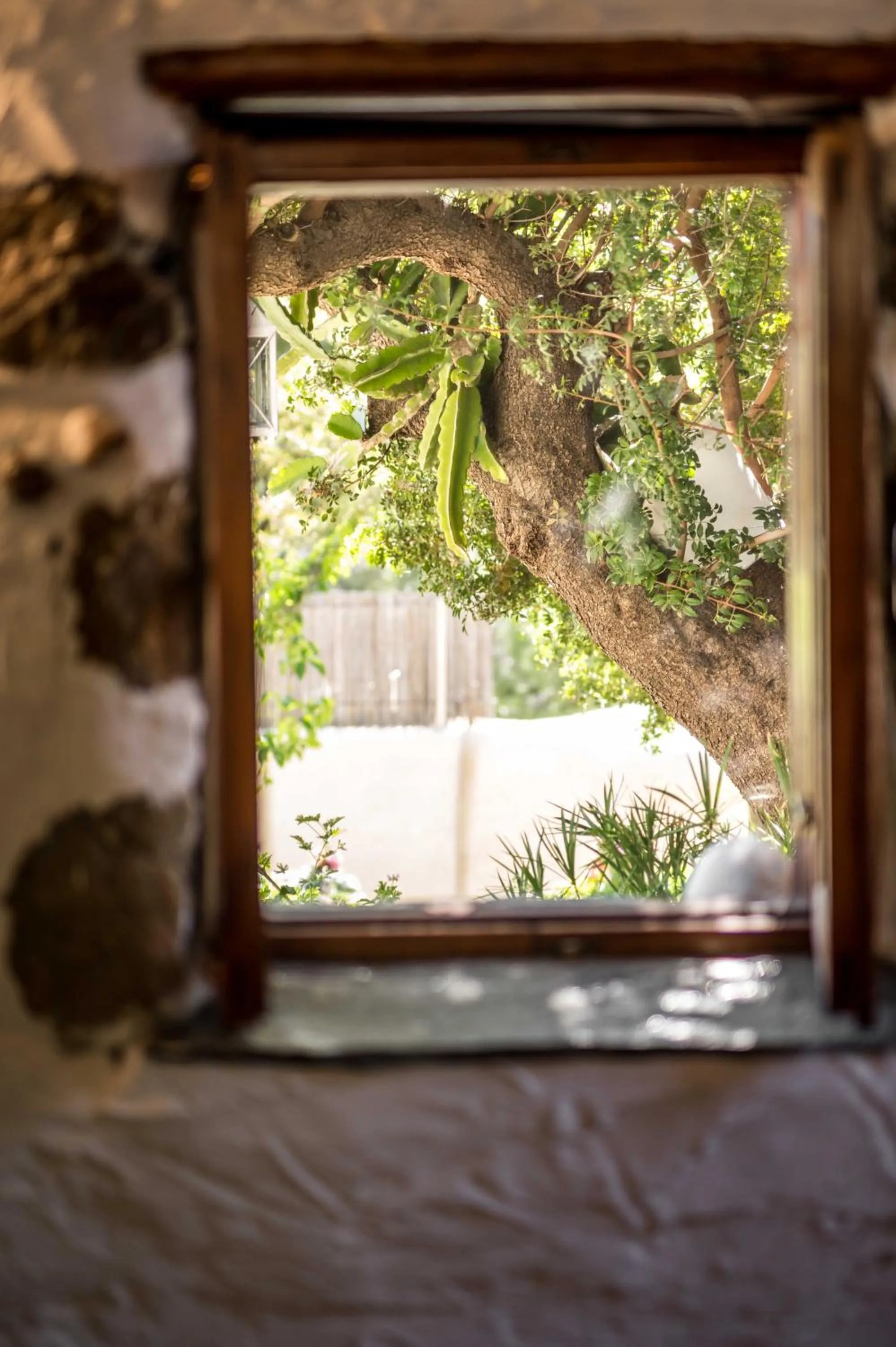 Kitchen or kitchenette in Natura cottages