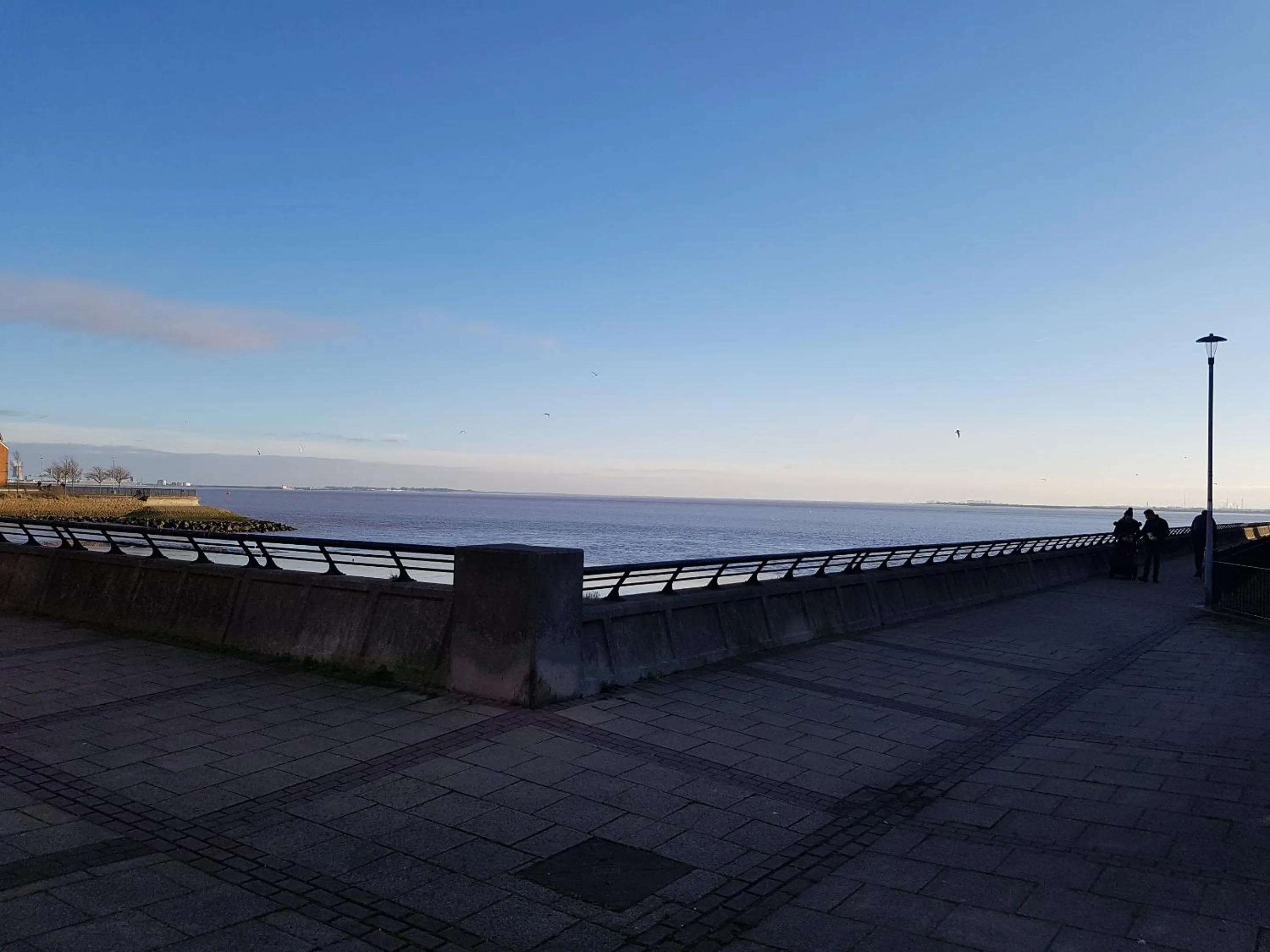 Natural landscape in Hullidays Victora Dock- refurbished 2024