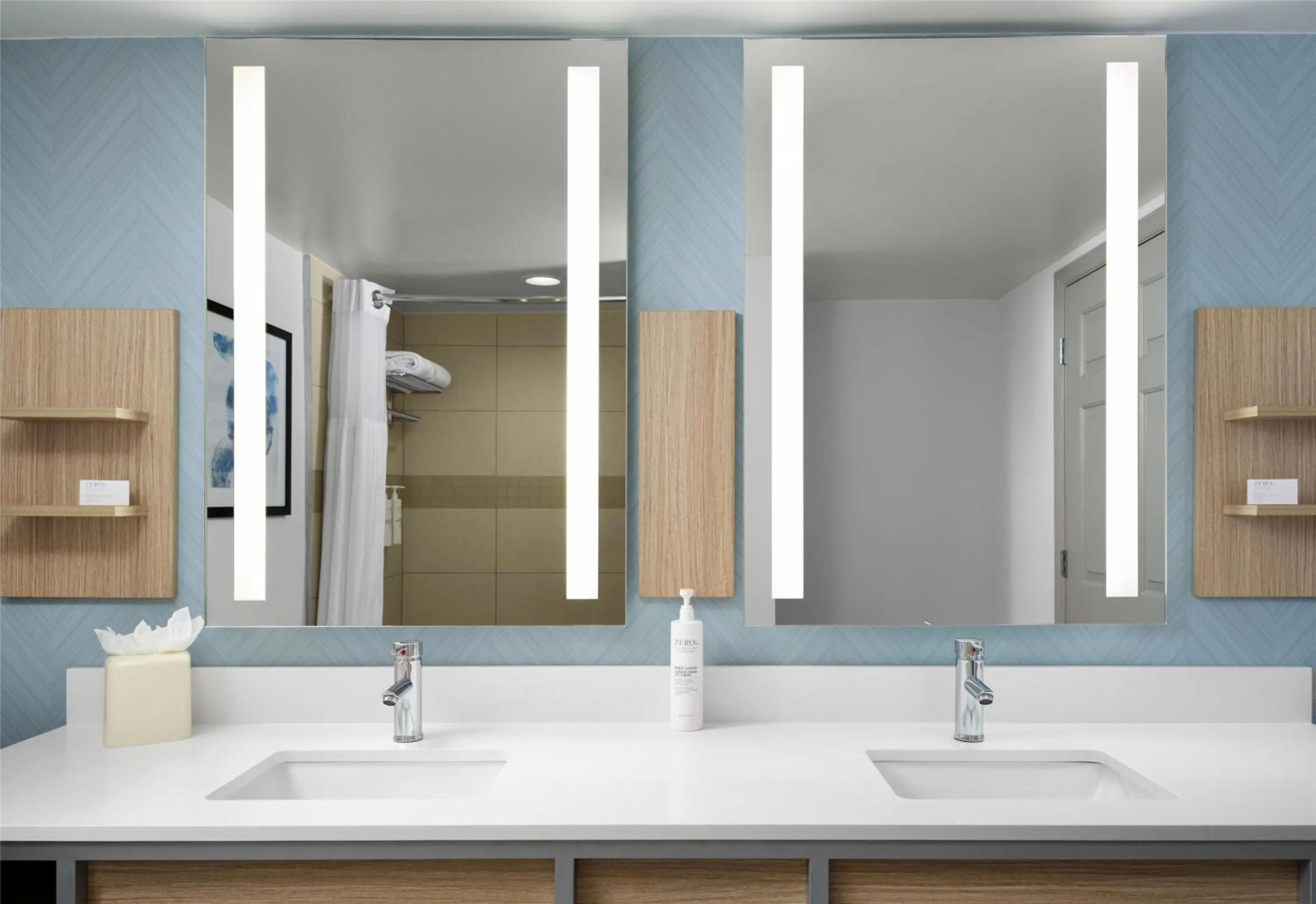 Bathroom in Hilton Garden Inn Tampa East Brandon