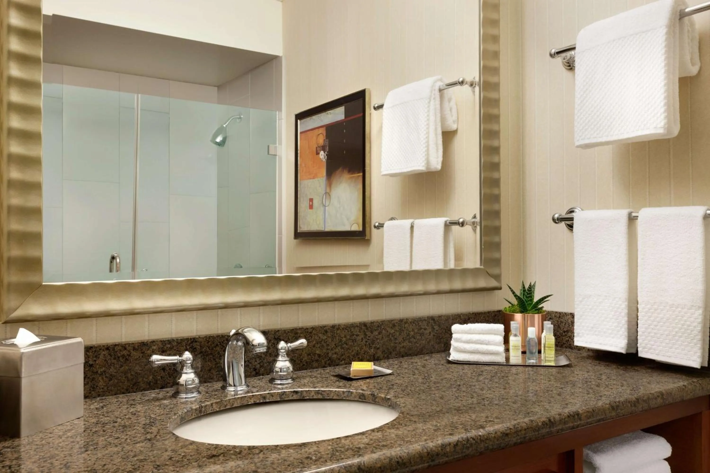 Bathroom in DoubleTree by Hilton Minneapolis Park Place