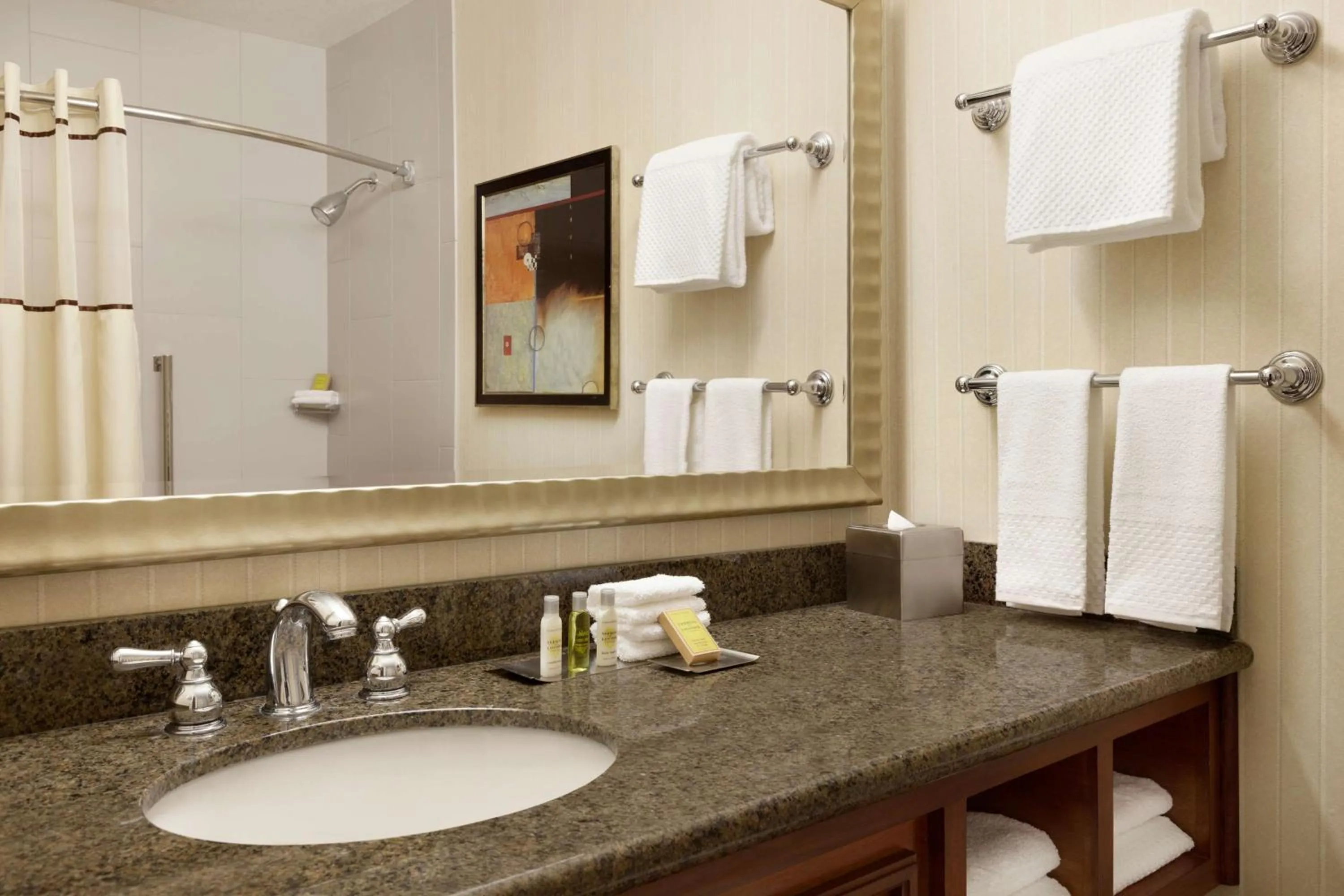 Bathroom in DoubleTree by Hilton Minneapolis Park Place