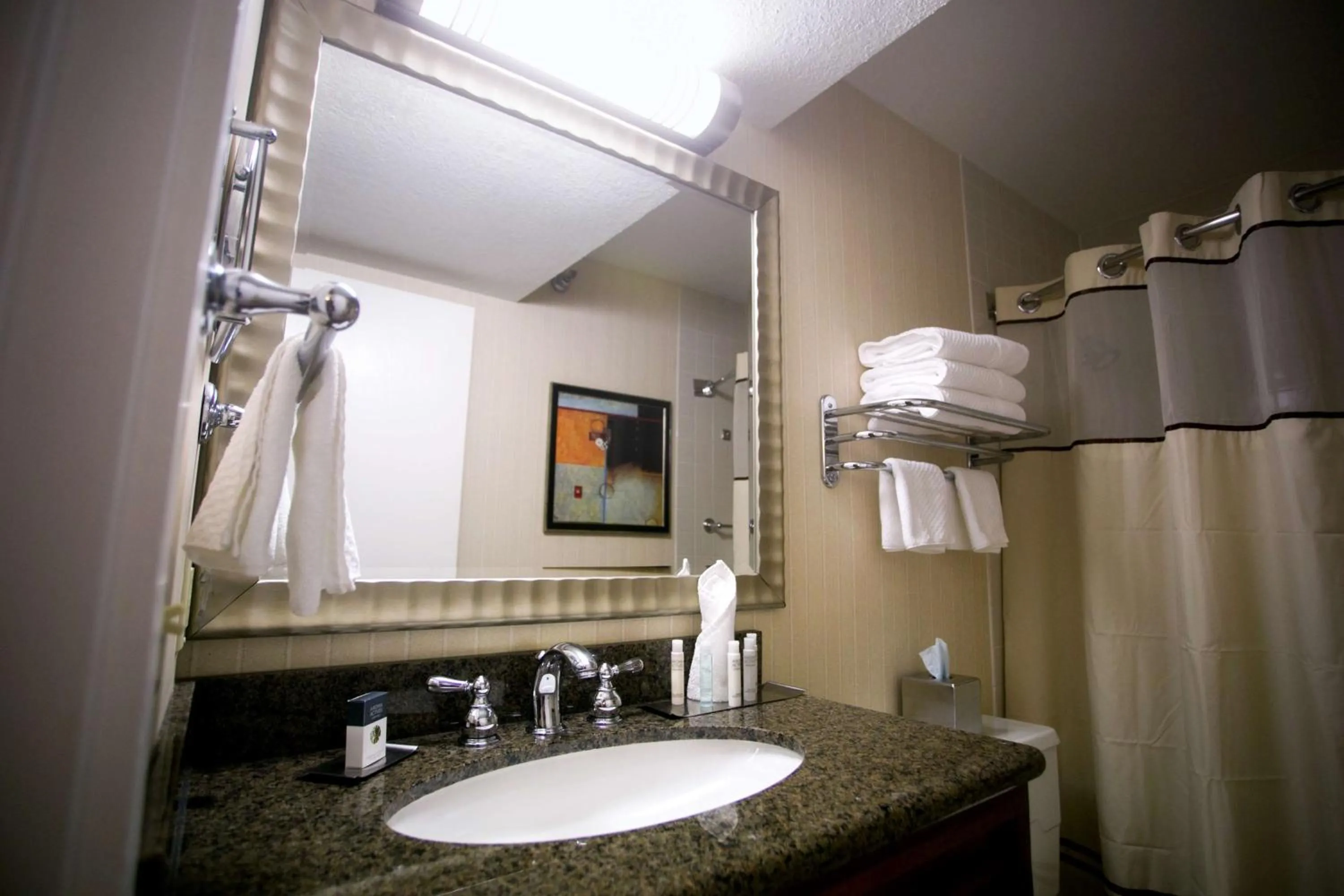 Bathroom in DoubleTree by Hilton Minneapolis Park Place