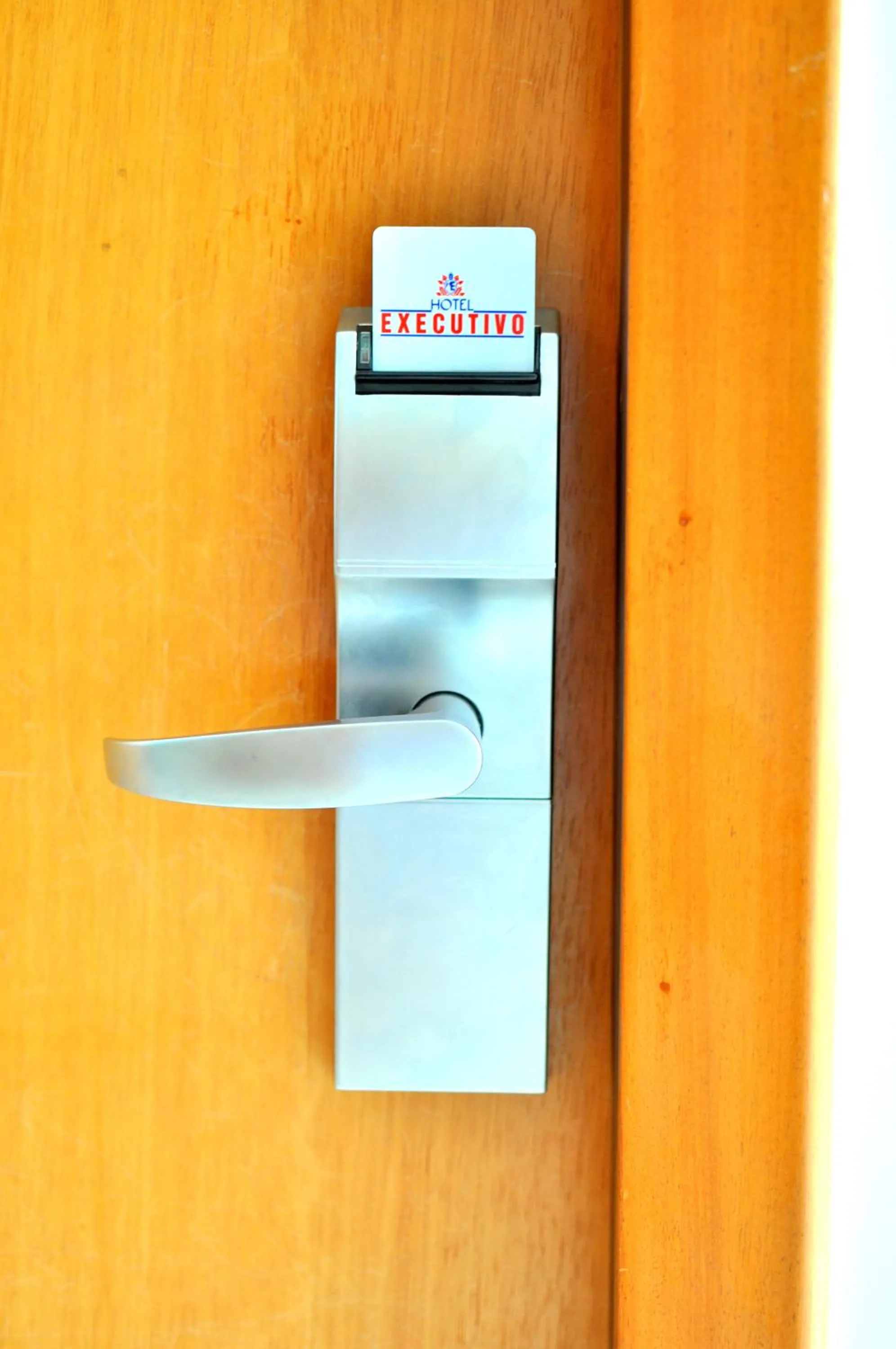 Hotel Executivo