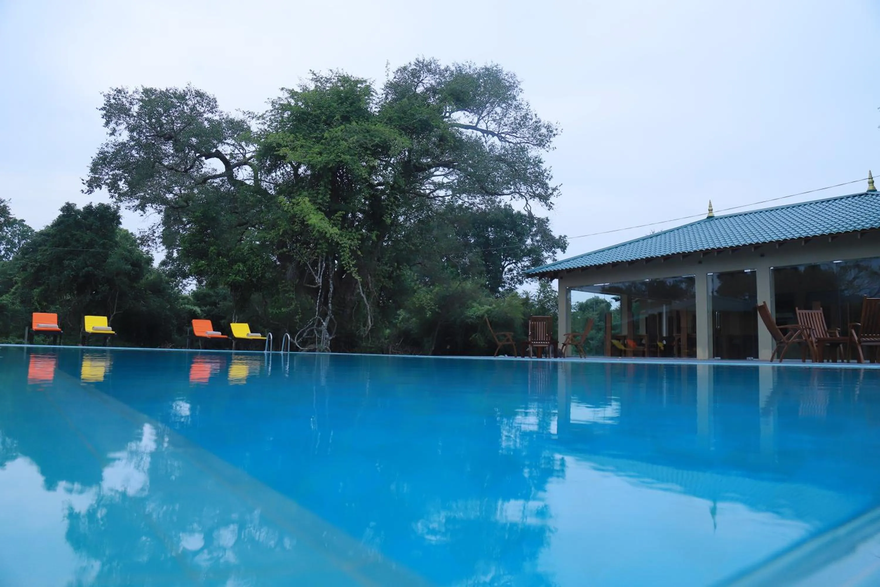 Swimming pool in Sigiriya King's Resort