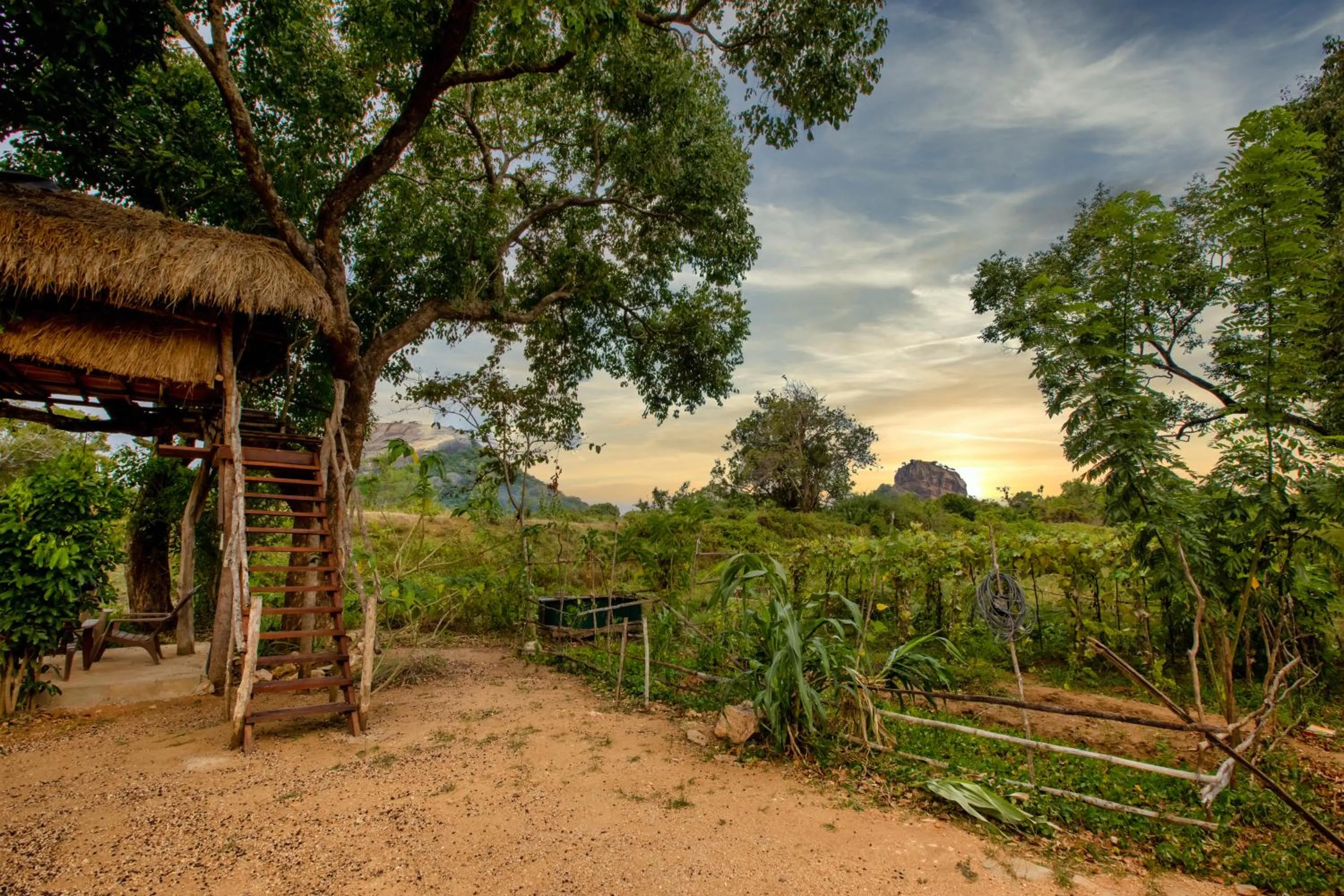 Sigiriya King's Resort