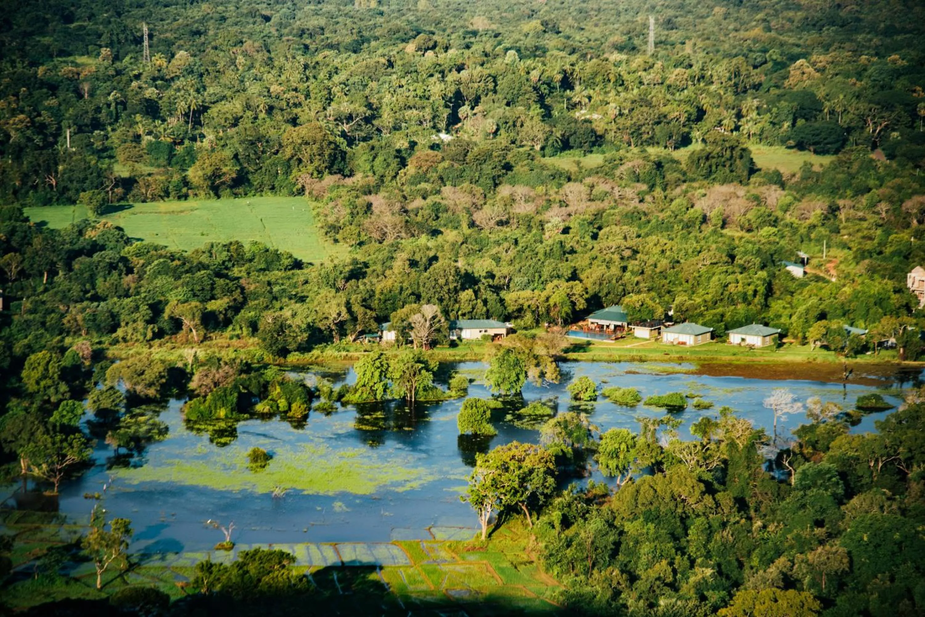 Natural landscape in Sigiriya King's Resort