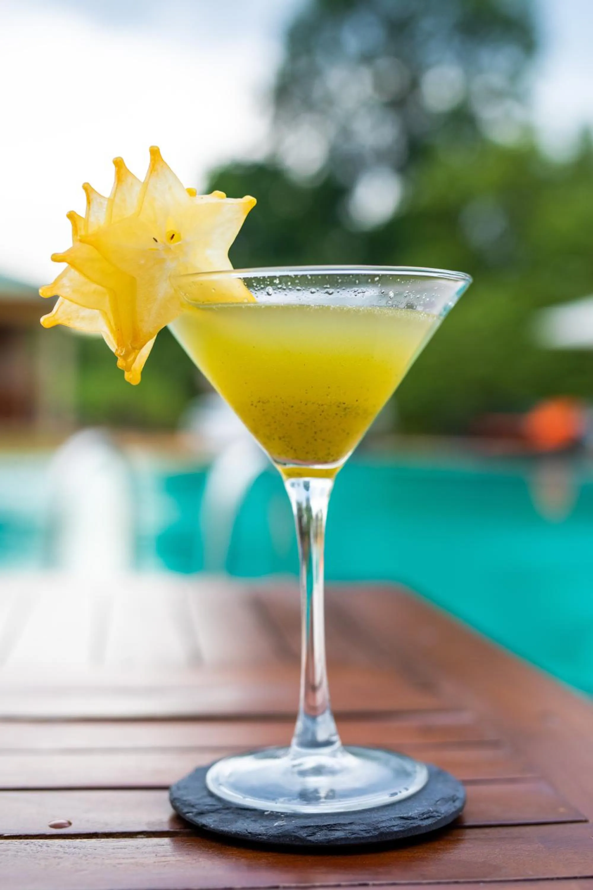 Sigiriya King's Resort