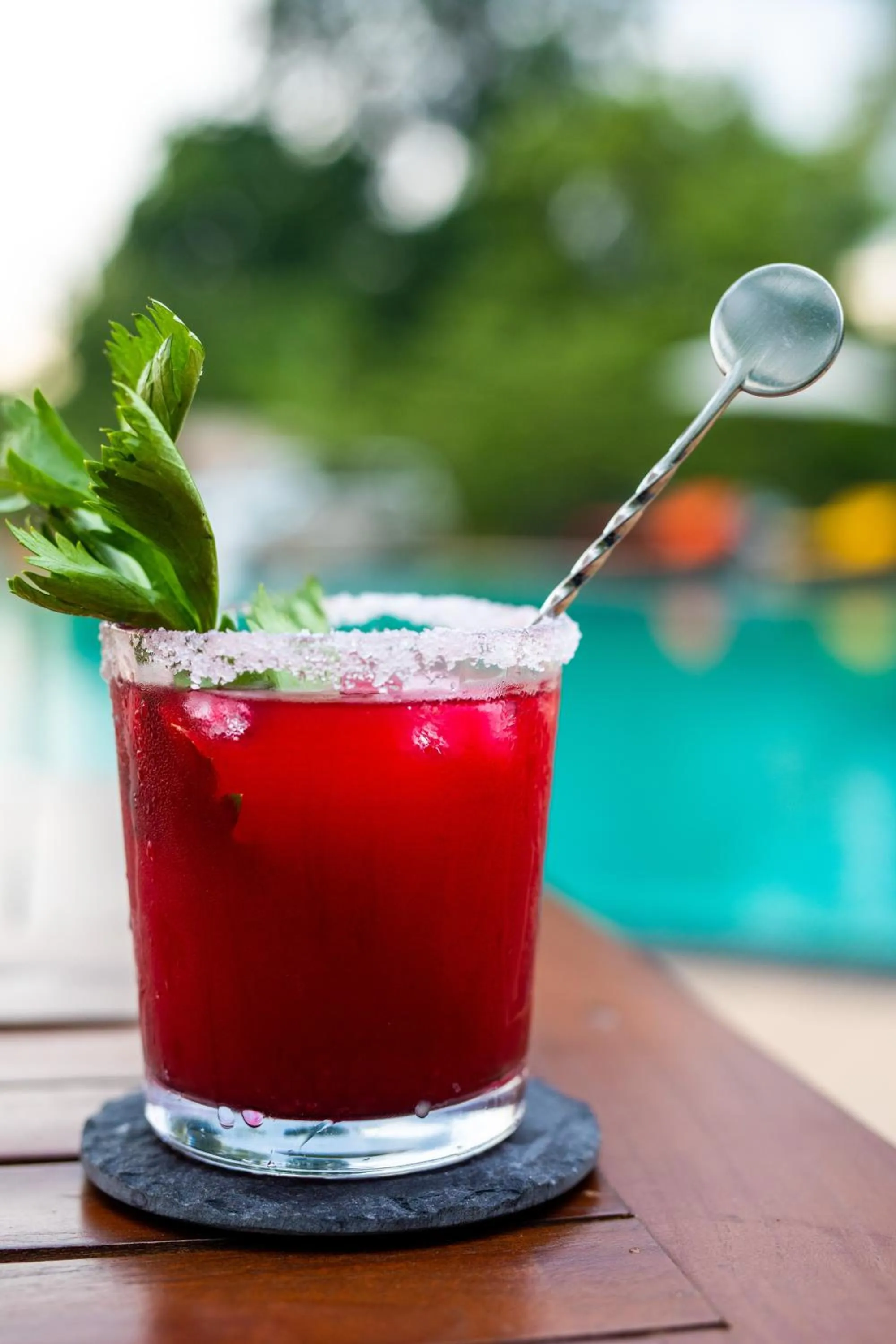 Sigiriya King's Resort