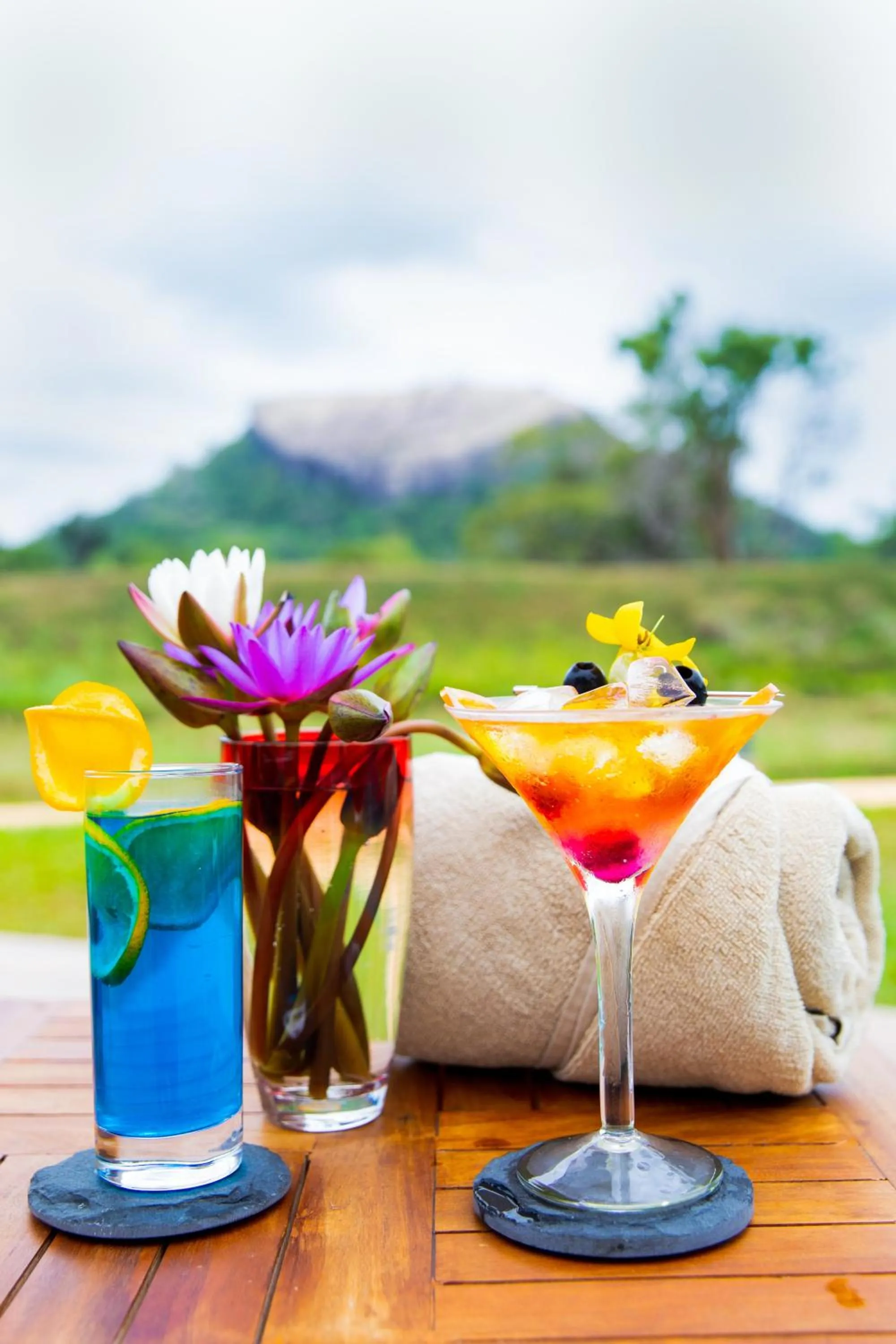 Sigiriya King's Resort