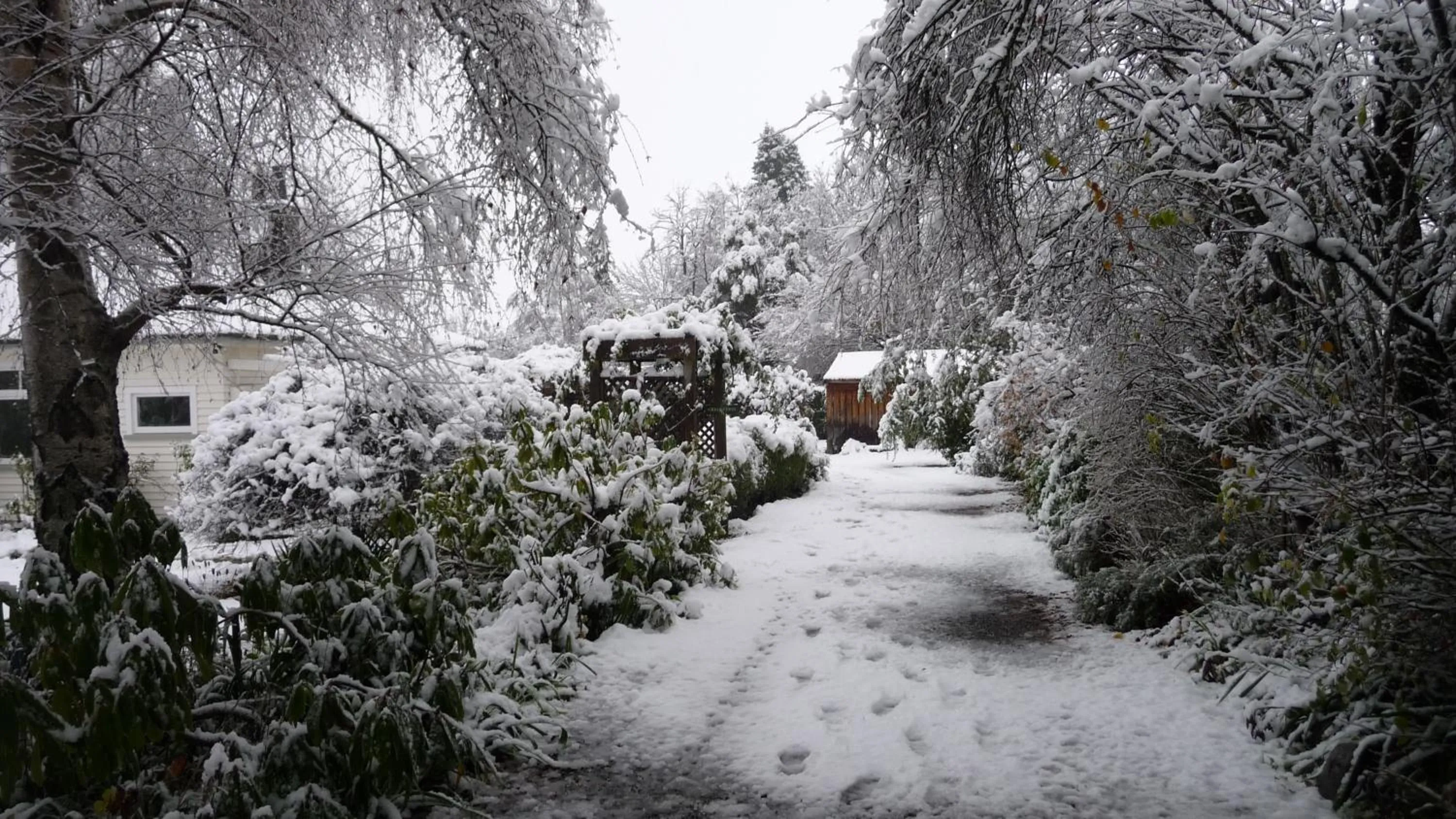 Property building in Harrogate Gardens Motel