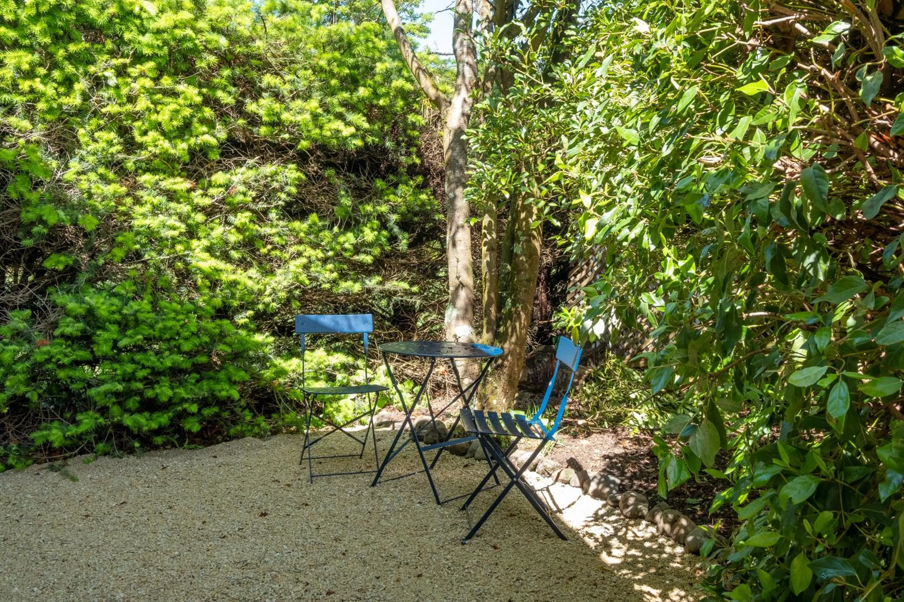 Spring in Harrogate Gardens Motel