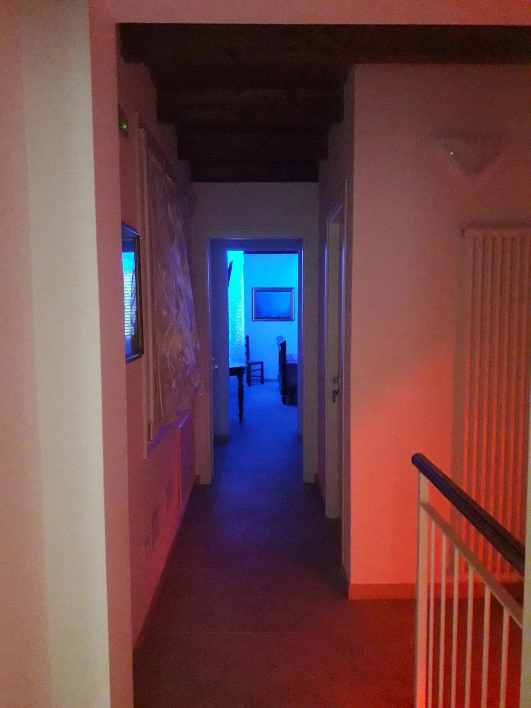 Le mille e una notte