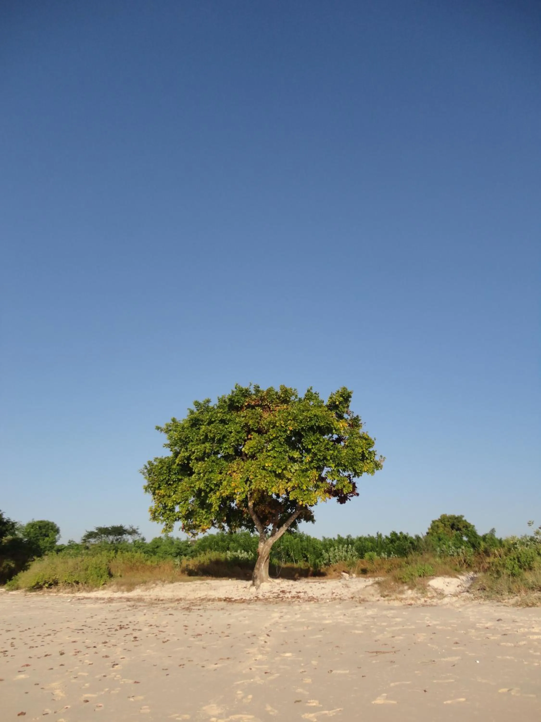 Property logo or sign in Jeeva Beloam Beach Camp