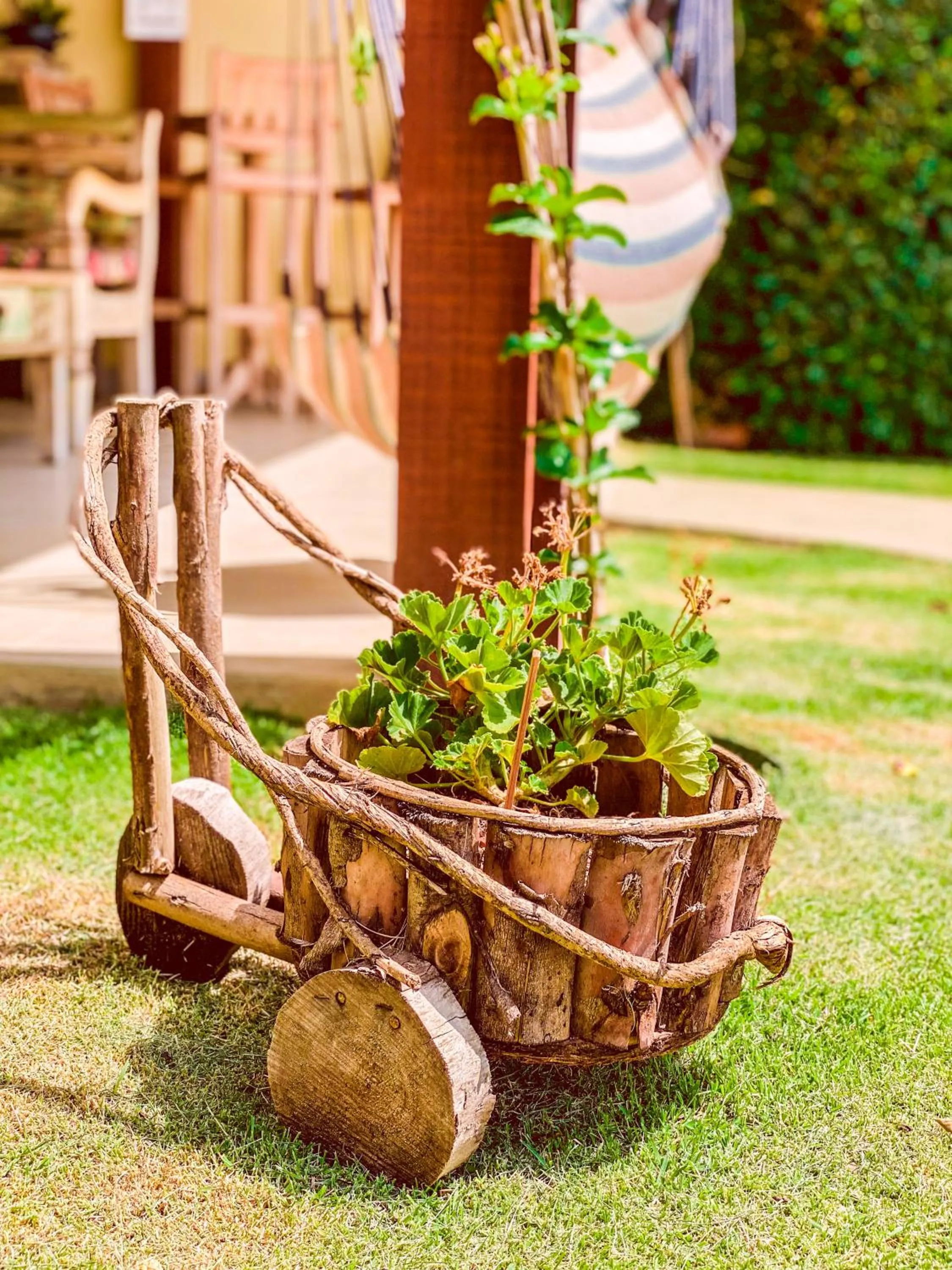 Garden in Pousada Quintal da Lua
