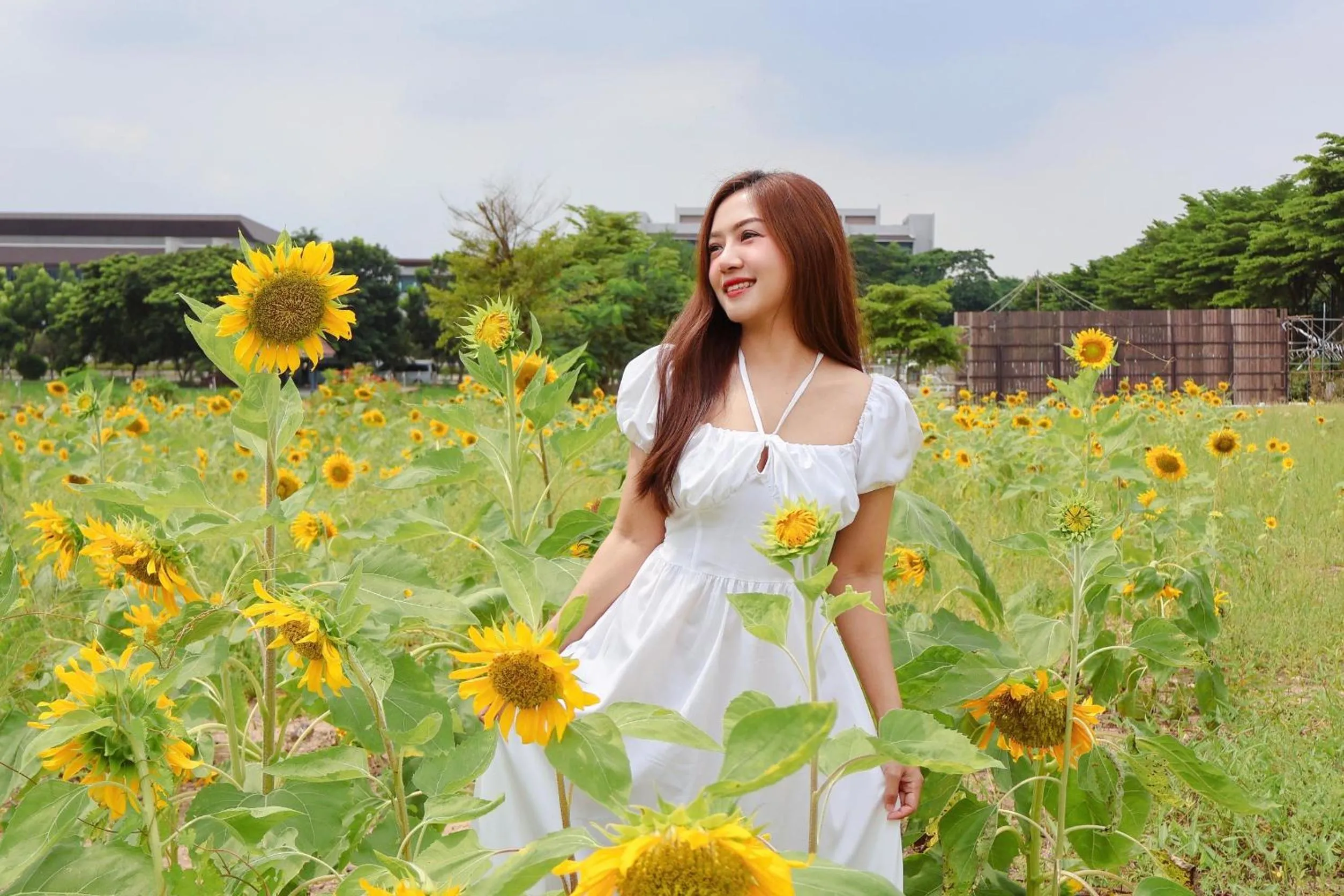 Day in The Cavalli Casa Resort