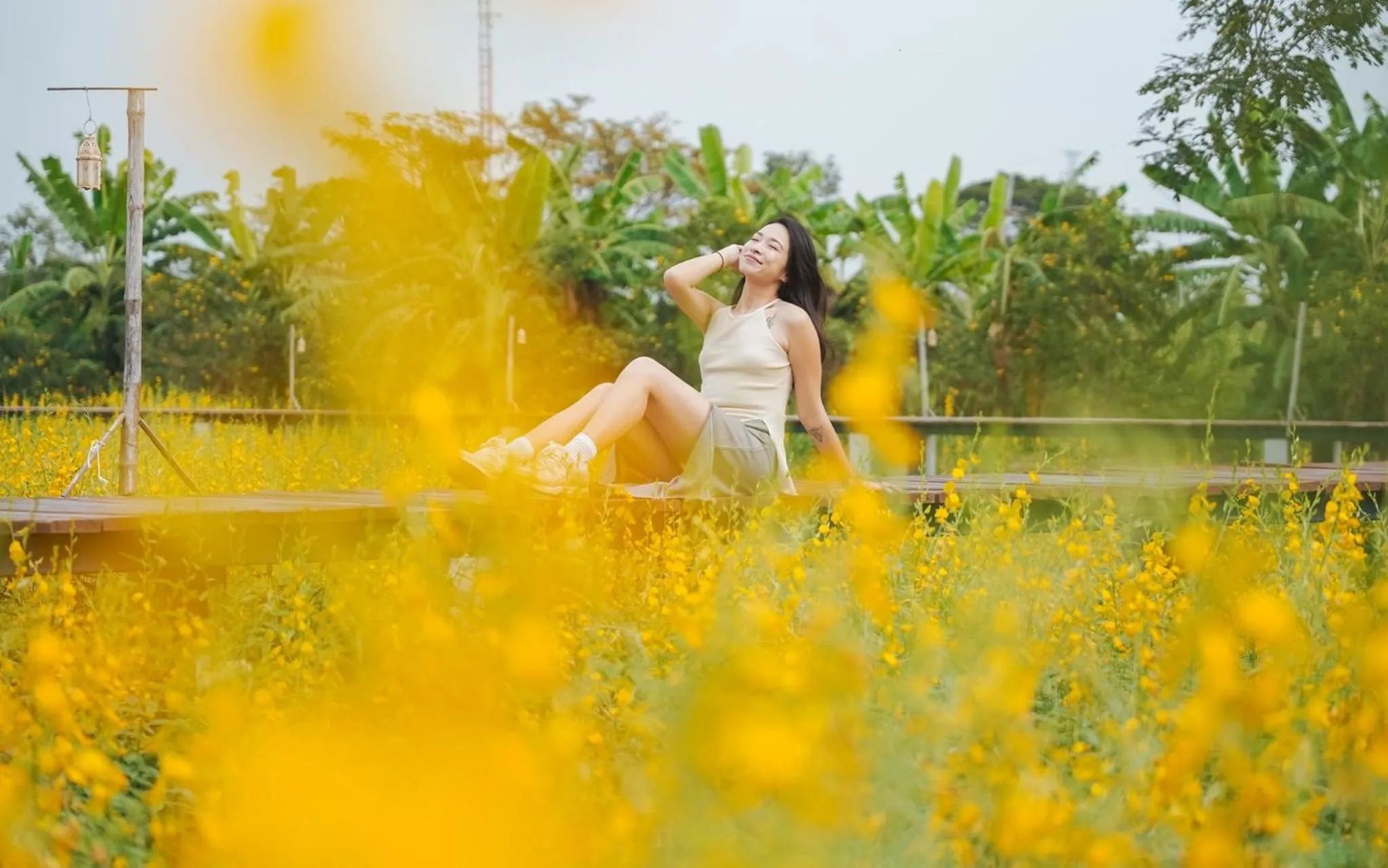 Garden in The Cavalli Casa Resort