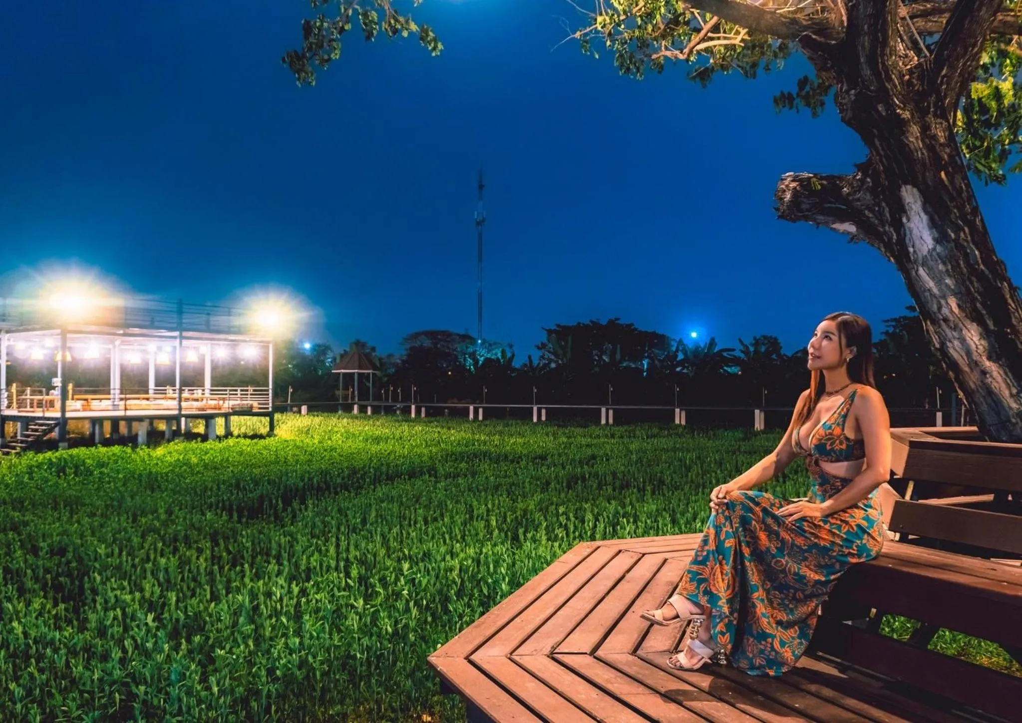 Night in The Cavalli Casa Resort