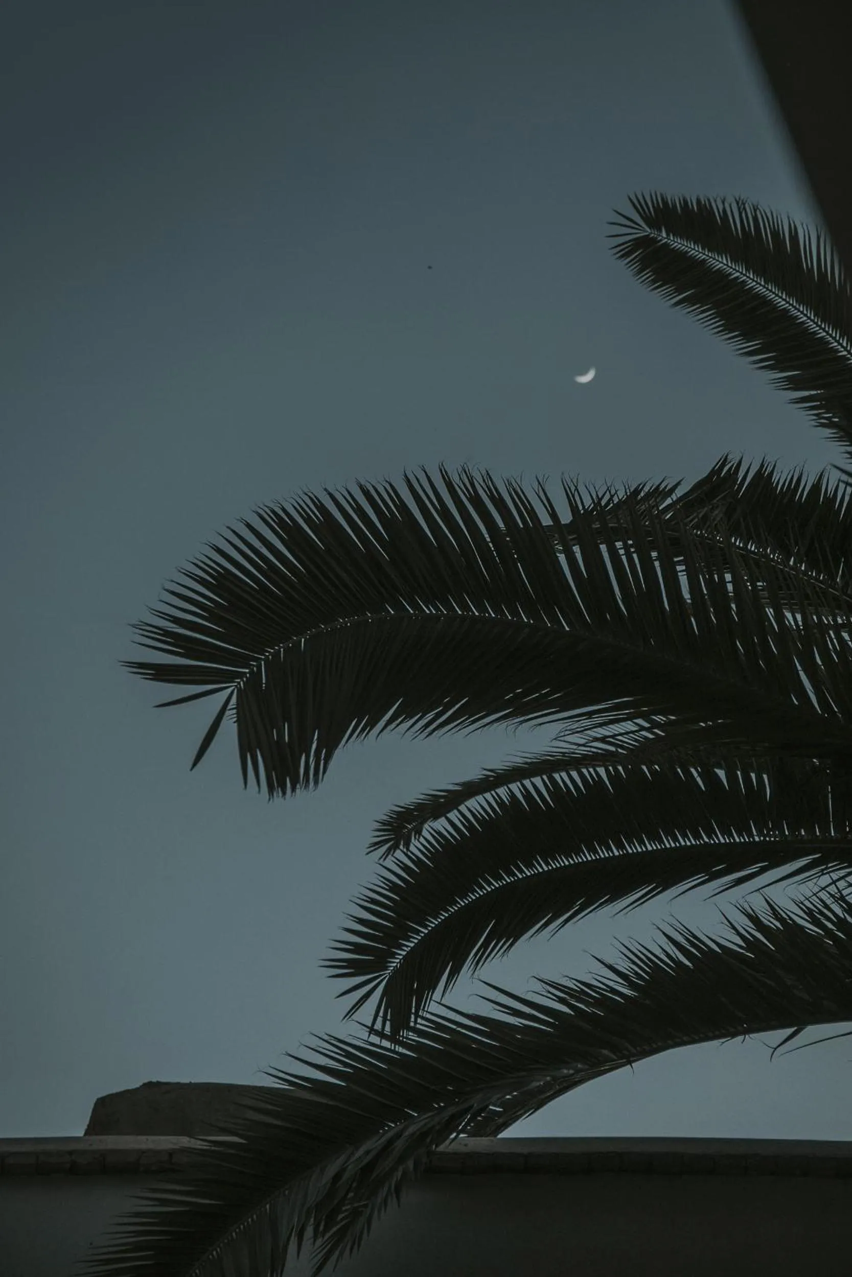 Bird's eye view in Dar Zelda