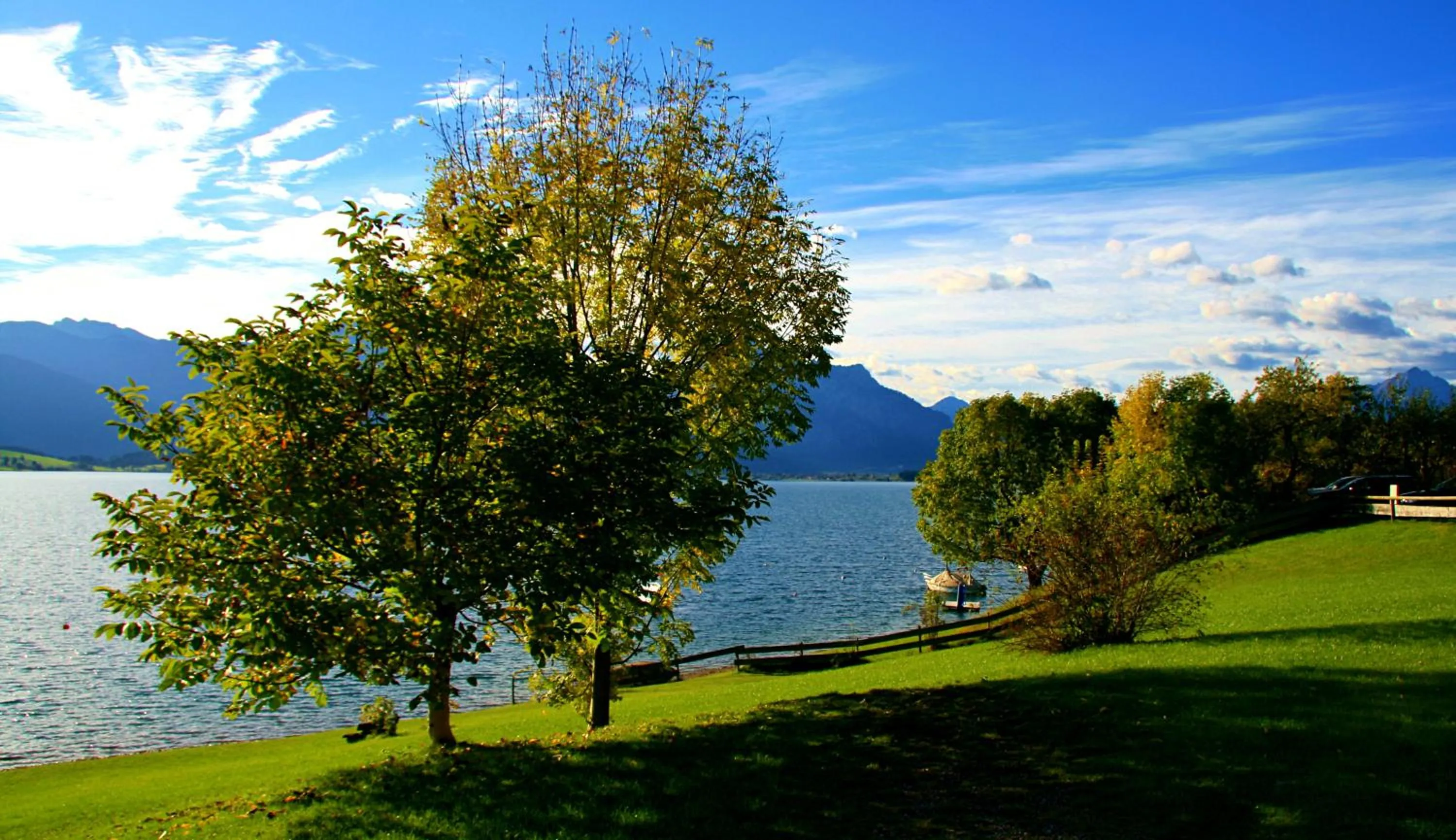 Garden in Seehotel und Appartements Schnöller