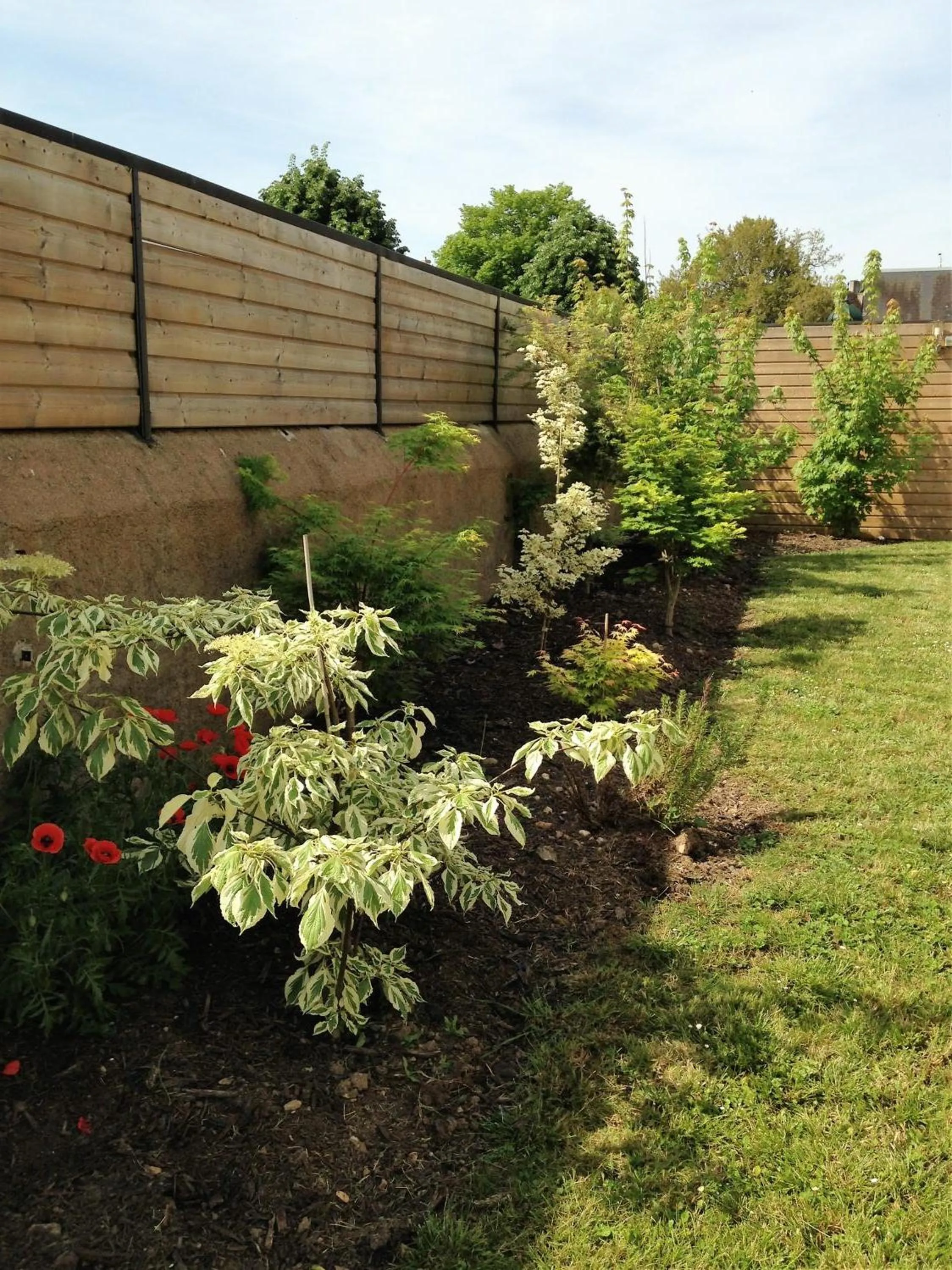 Garden in Logis Hôtel Le Cheval Noir