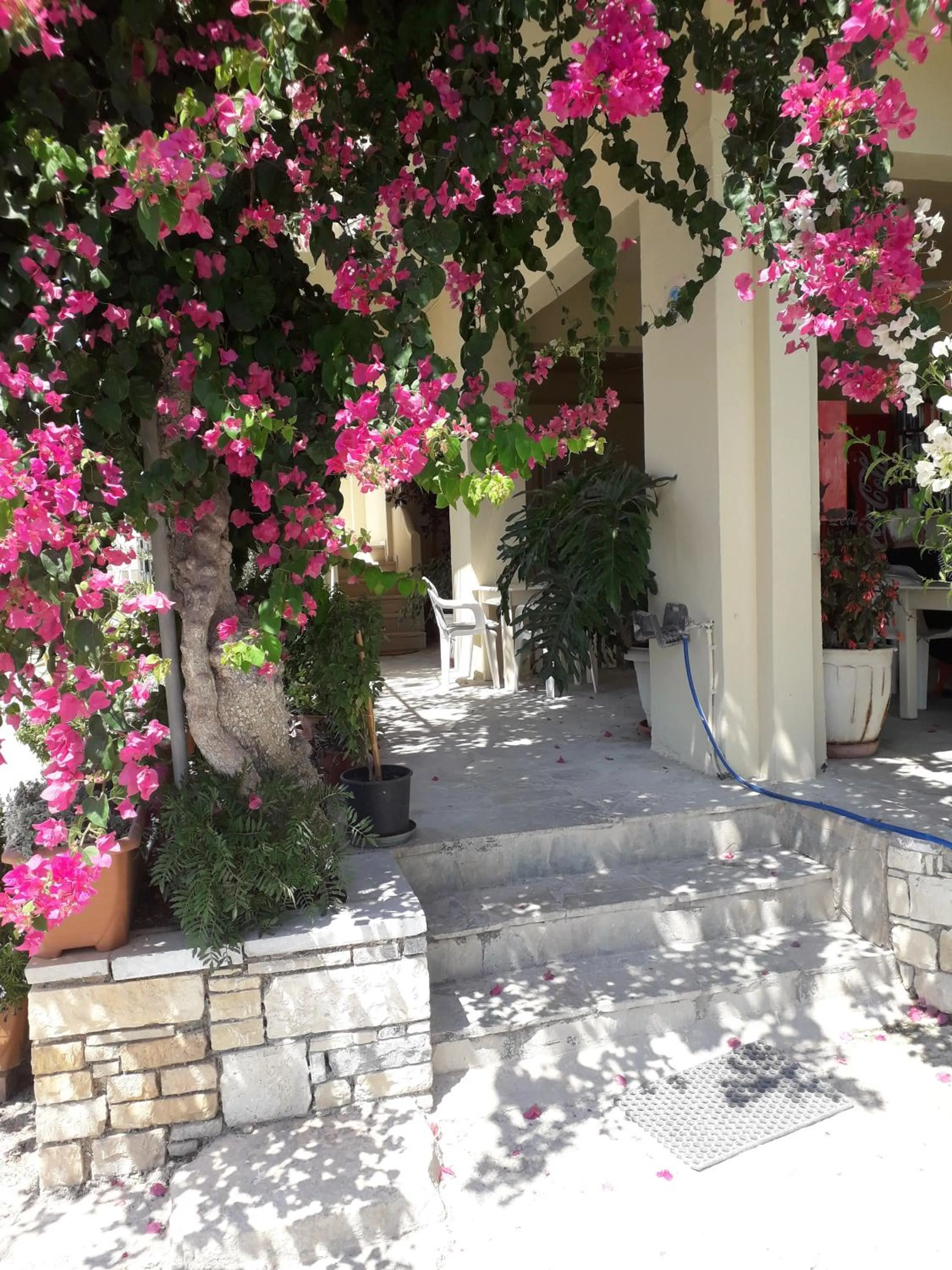 Knossos Hotel