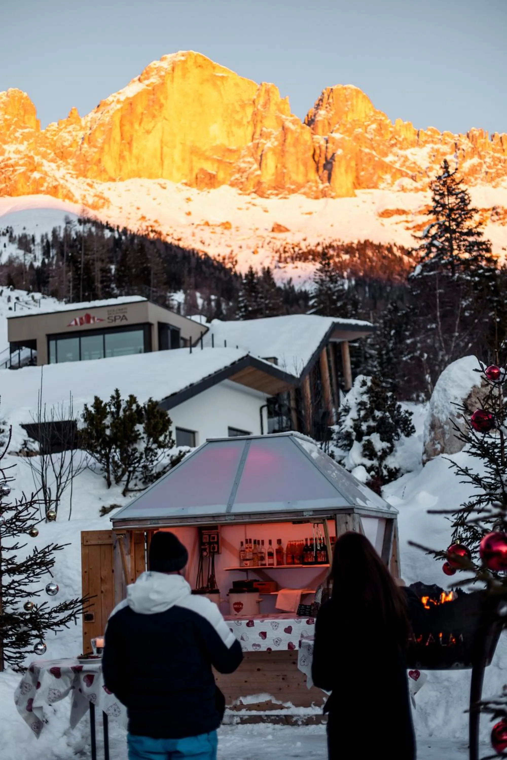 View (from property/room) in Moseralm Dolomiti Hideaway