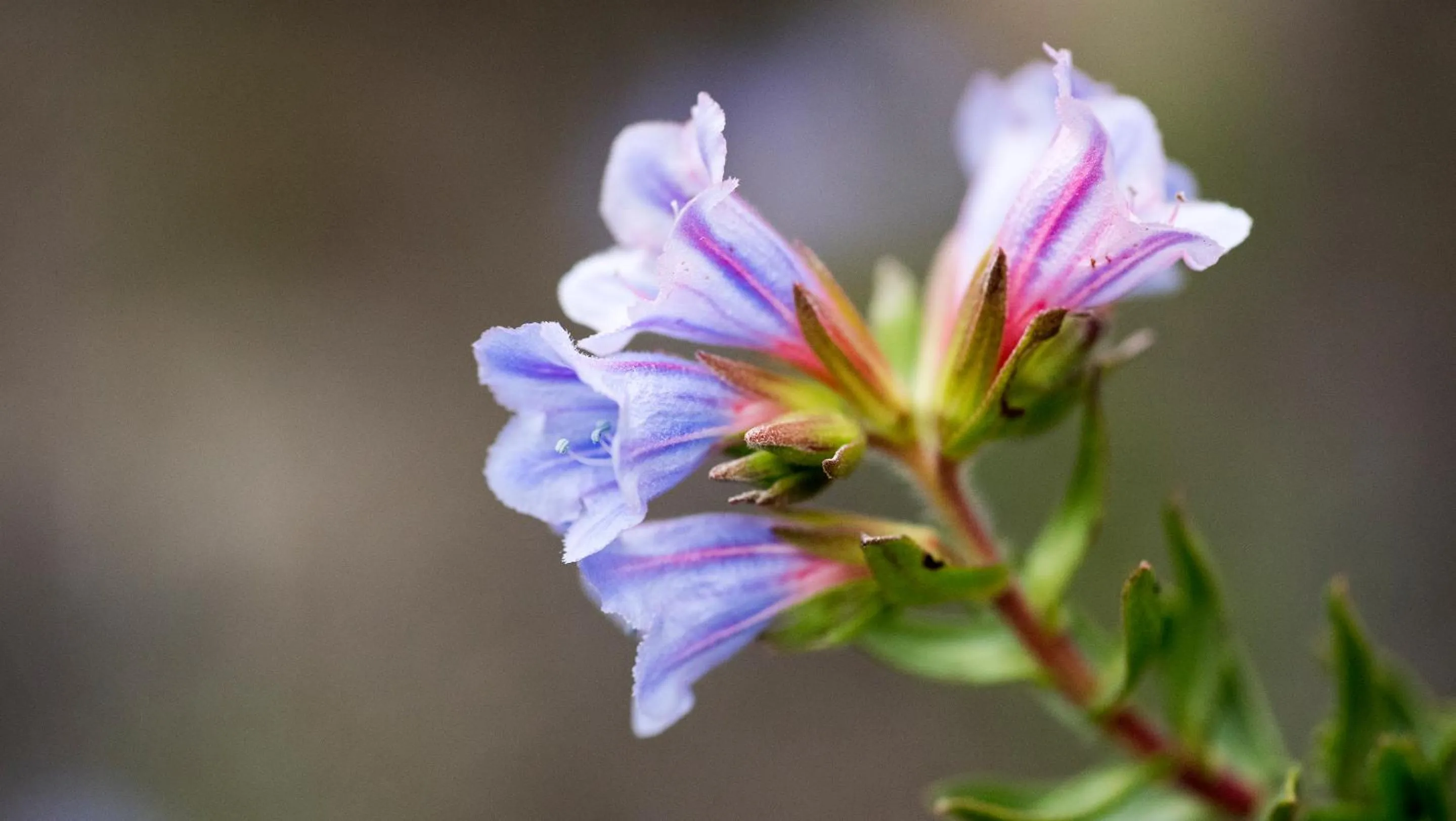 Seasons in Gondwana Game Reserve