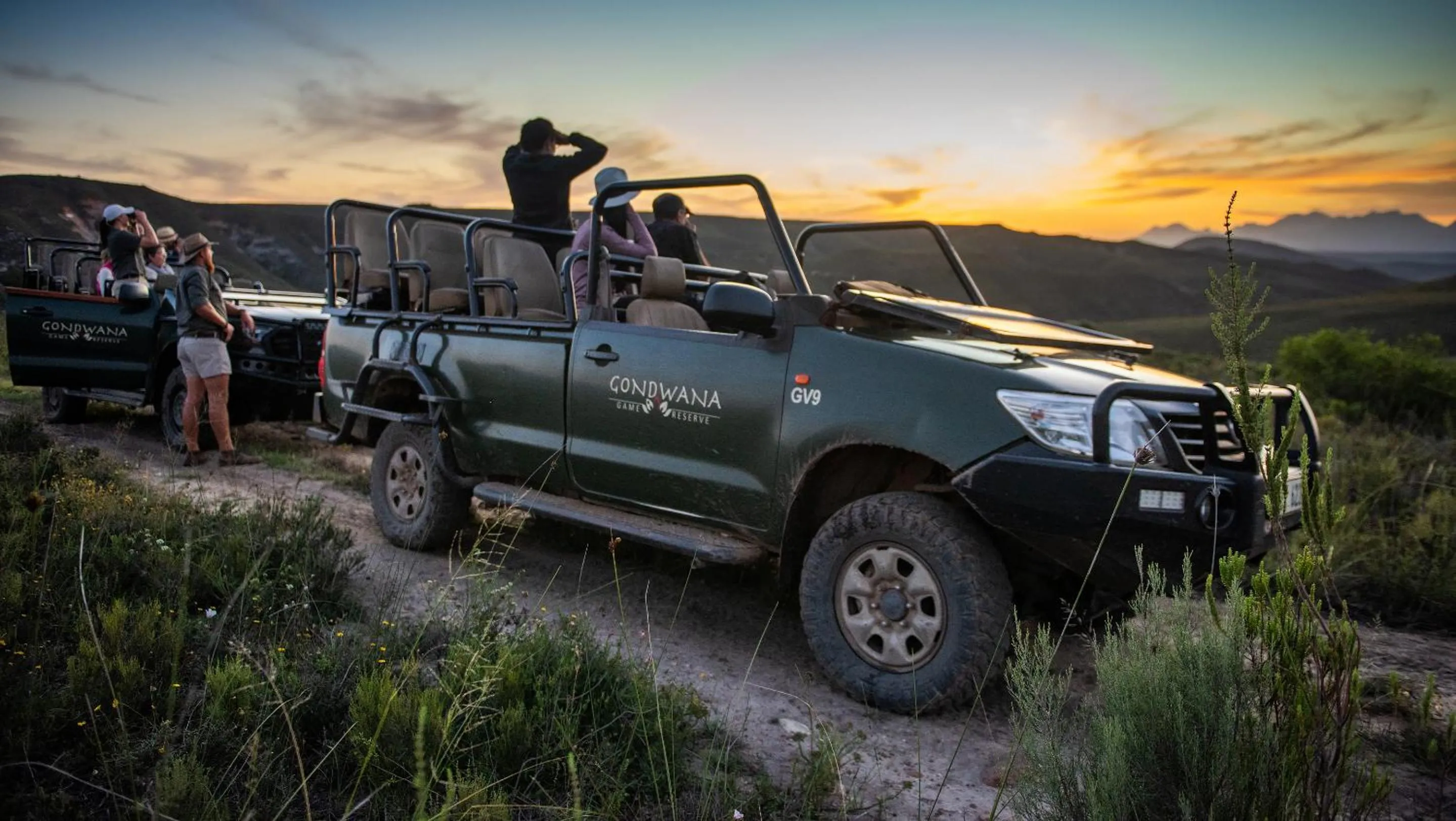 Activities in Gondwana Game Reserve
