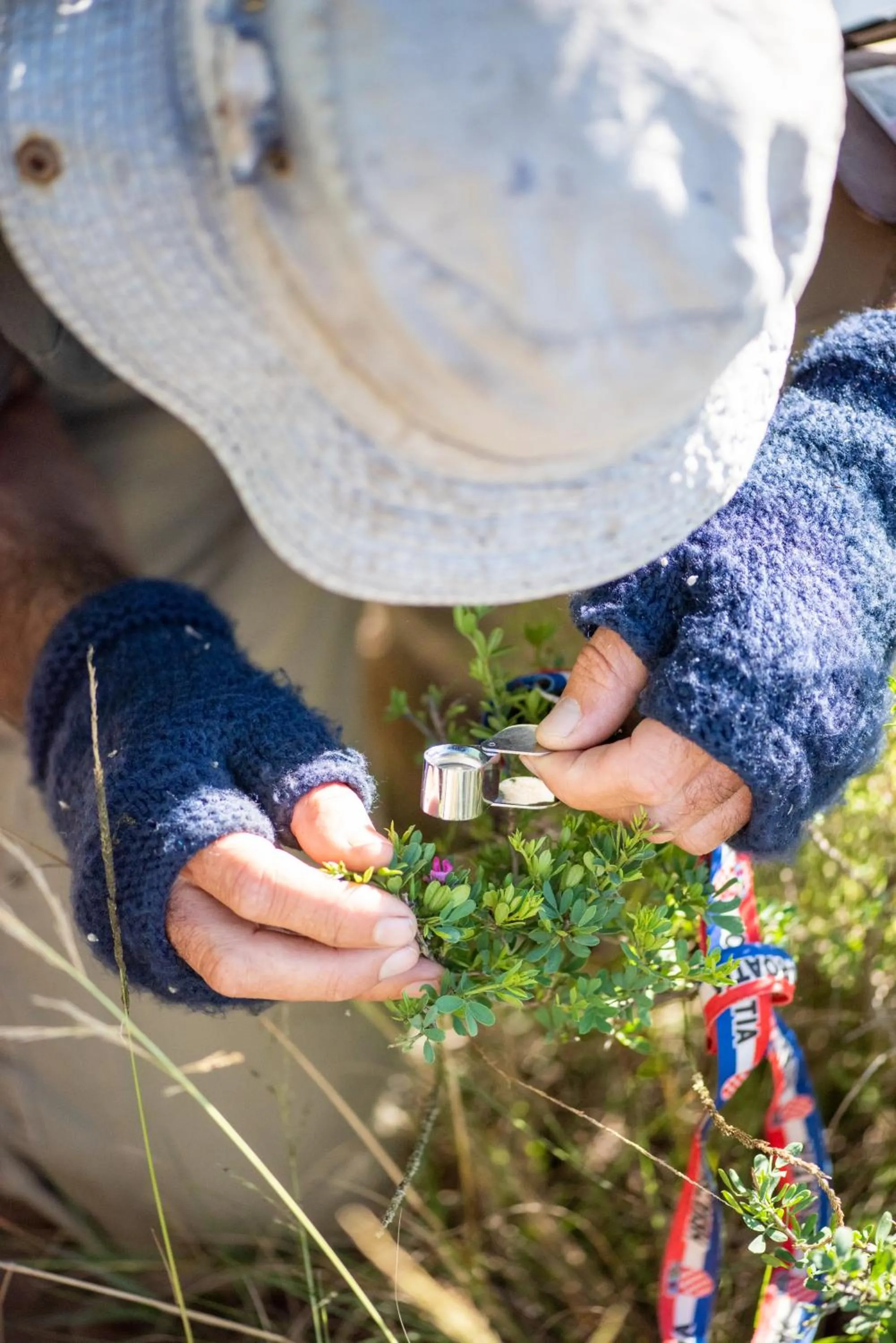 Hiking in Gondwana Game Reserve