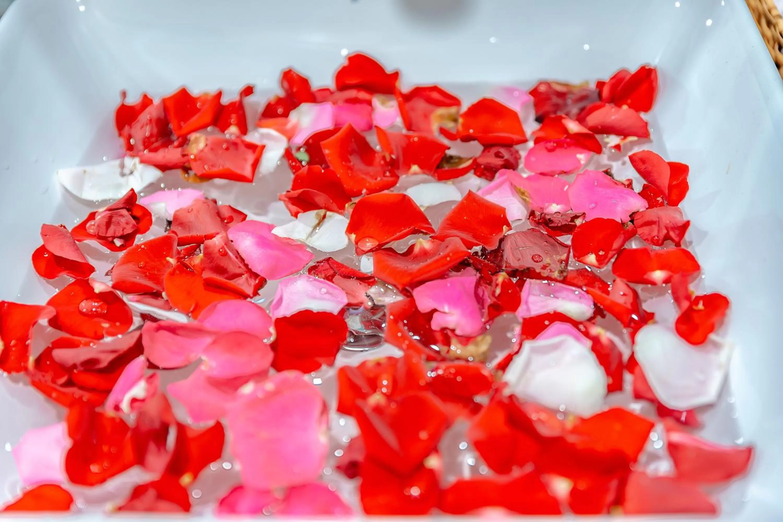 Little Boss Homestay