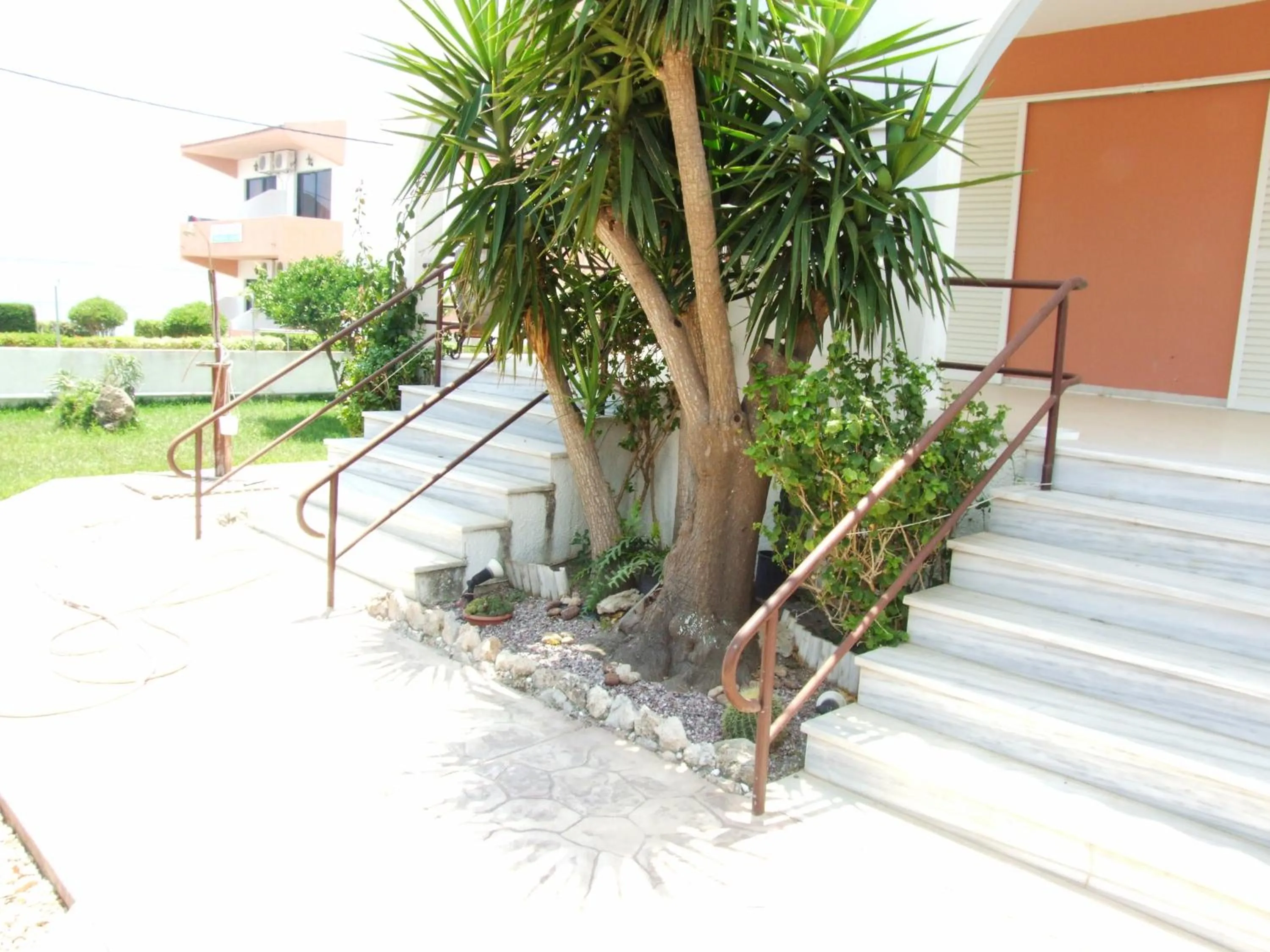 Decorative detail in Sokrates Studios