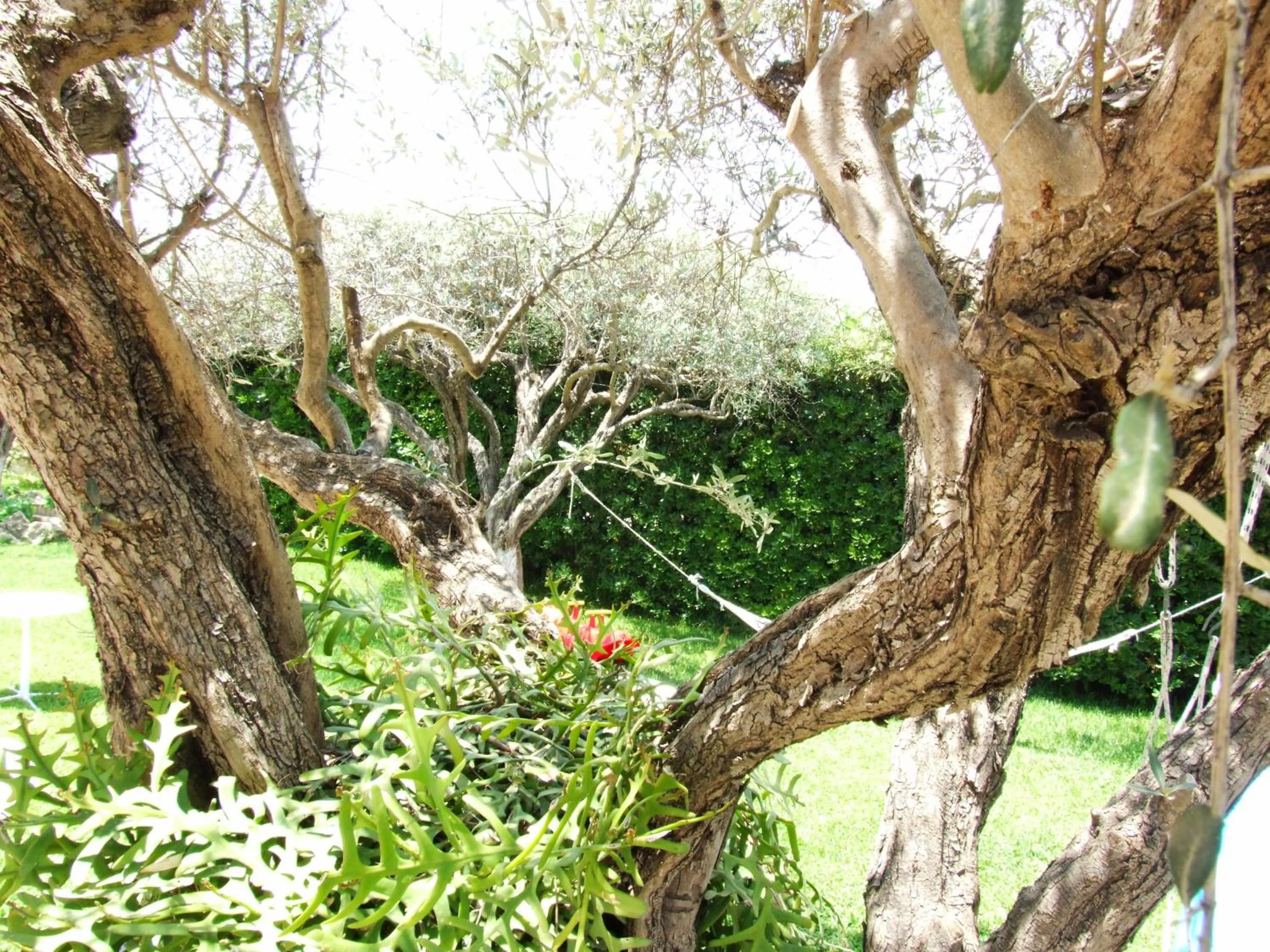 Day in Sokrates Studios