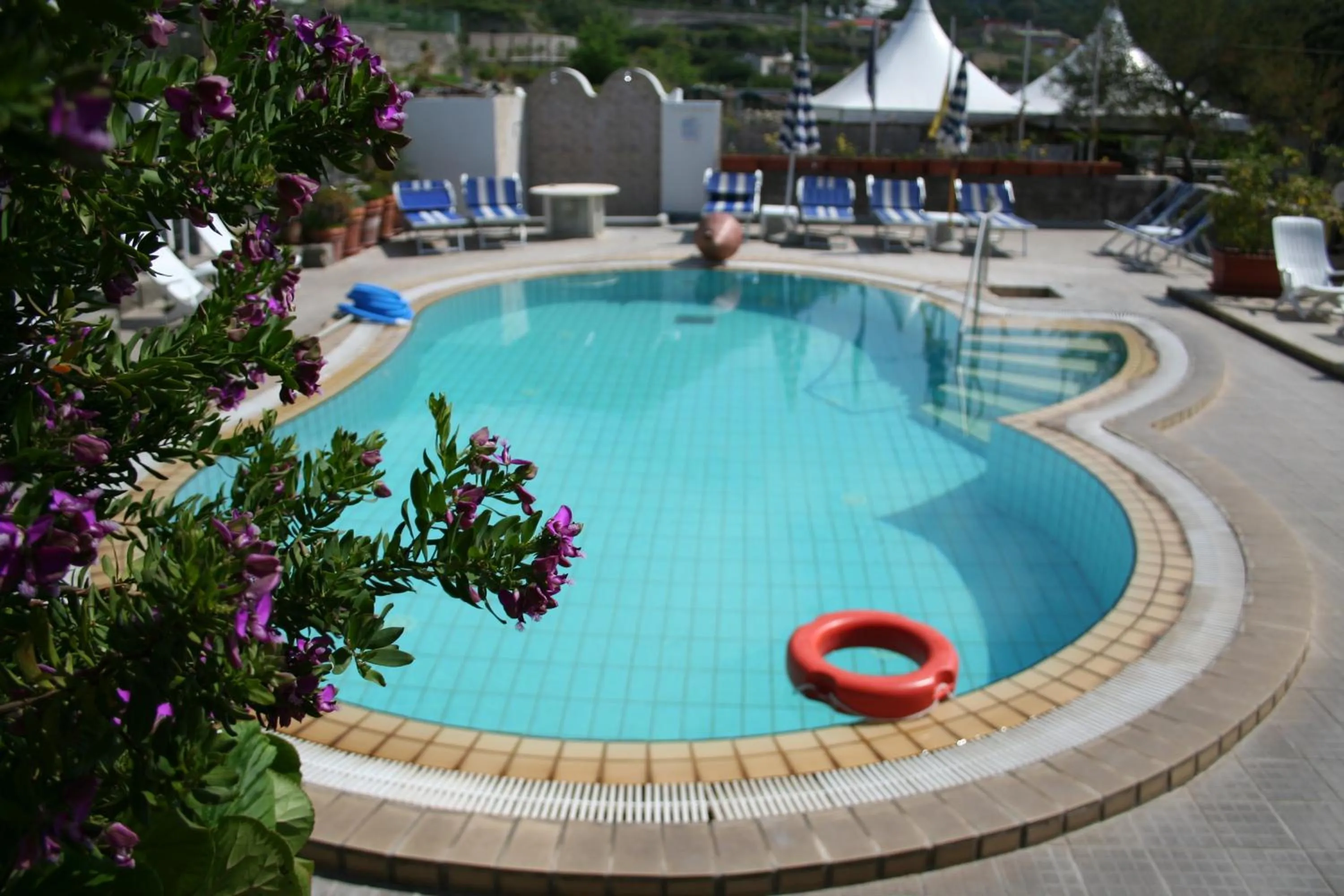 Pool view in Albergo Villa Mario