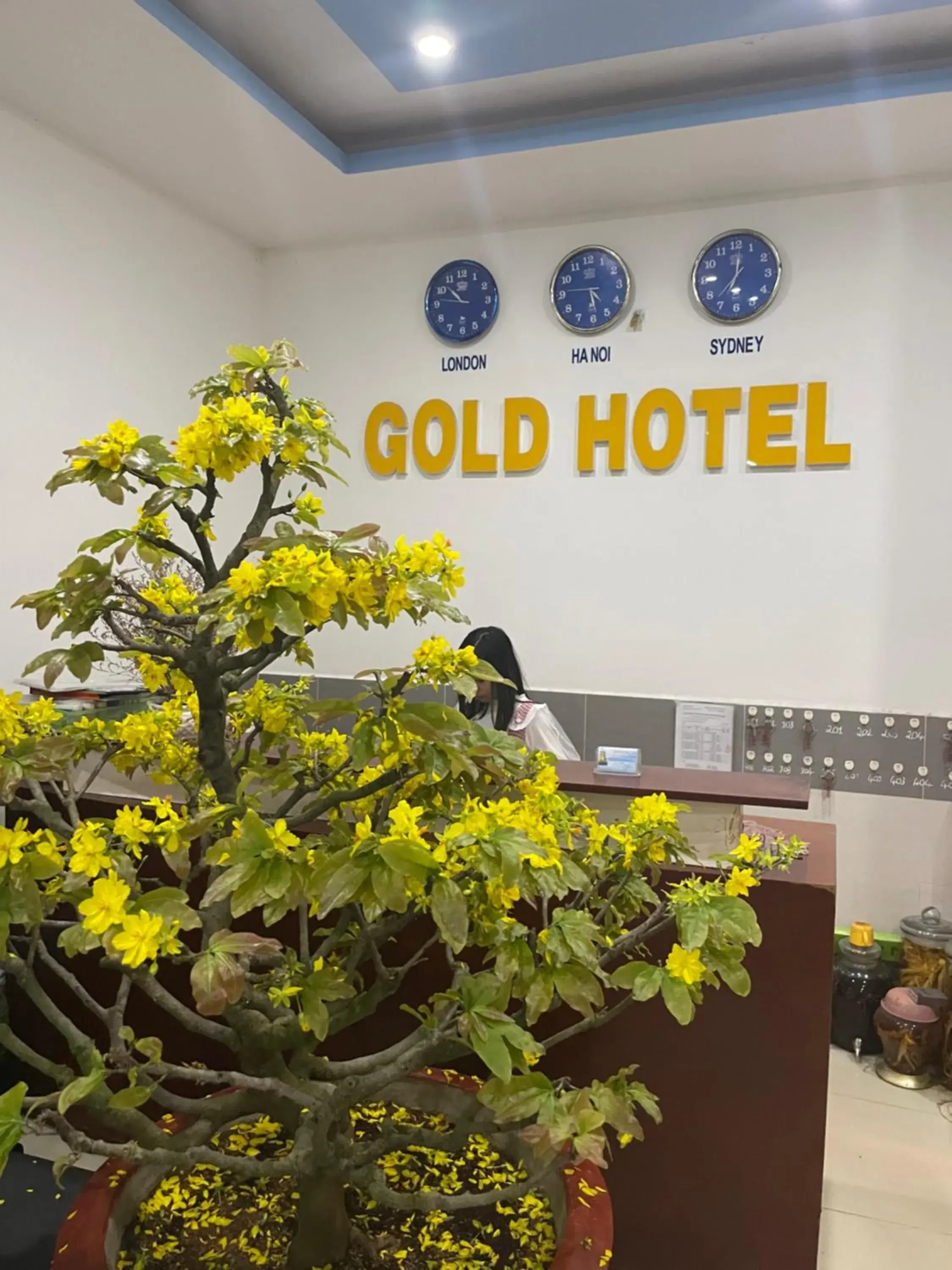 GOLD HOTEL GOLD HOTEL