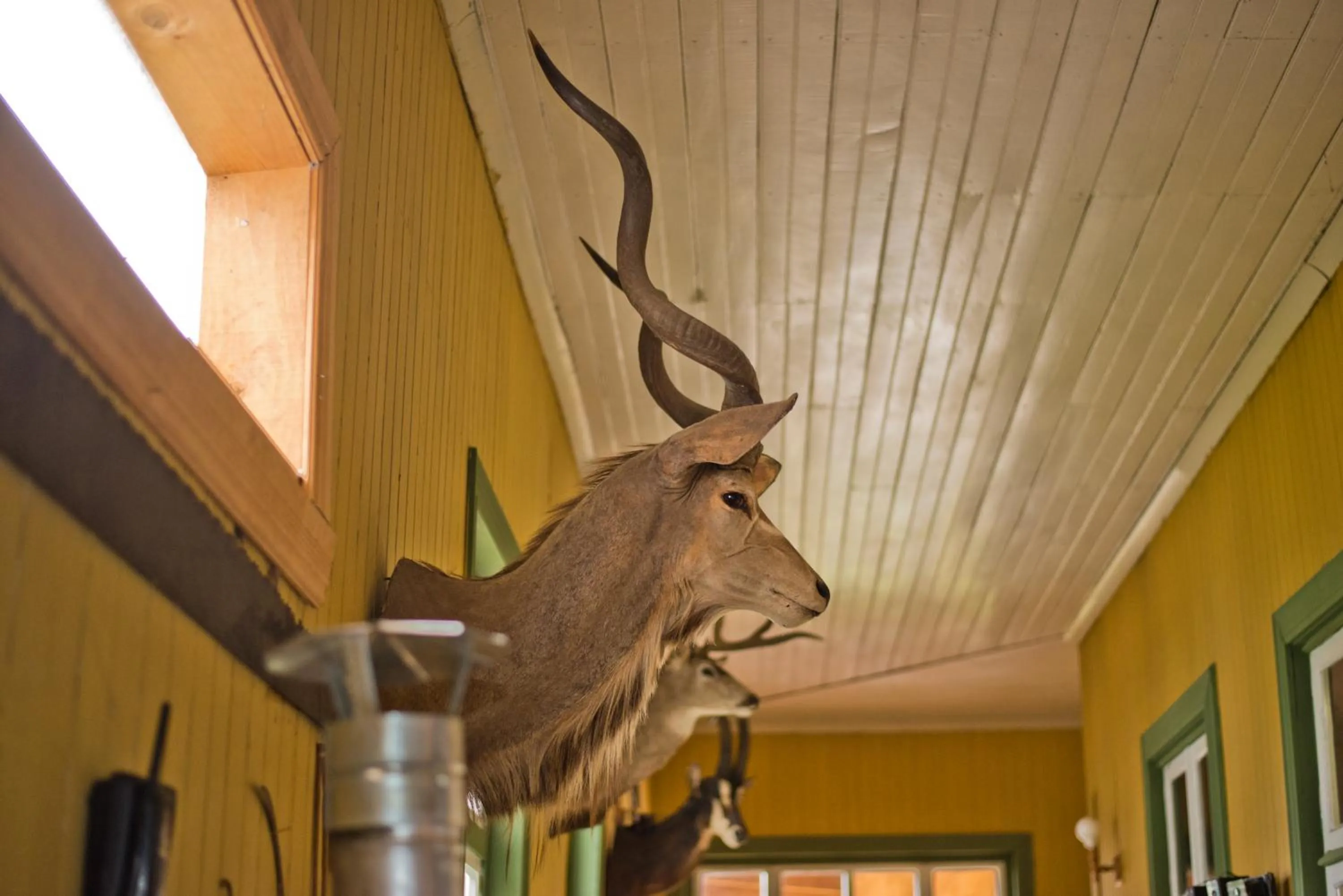 Hotel Casa de la Oma