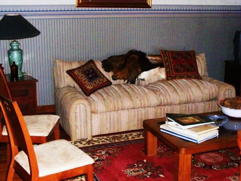 Lobby or reception in Hotel Casa de la Oma