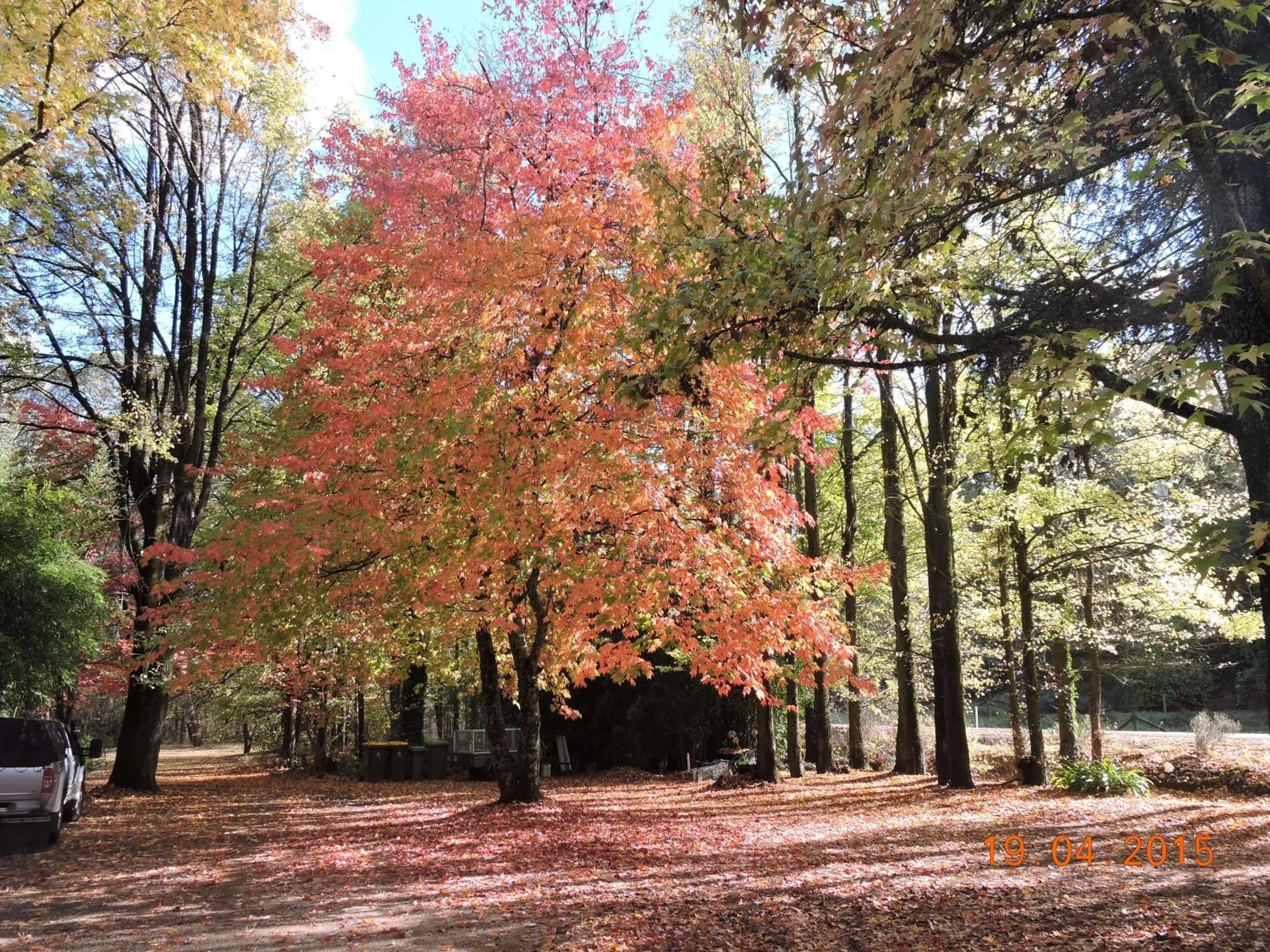 Alpine Riverside Cottages