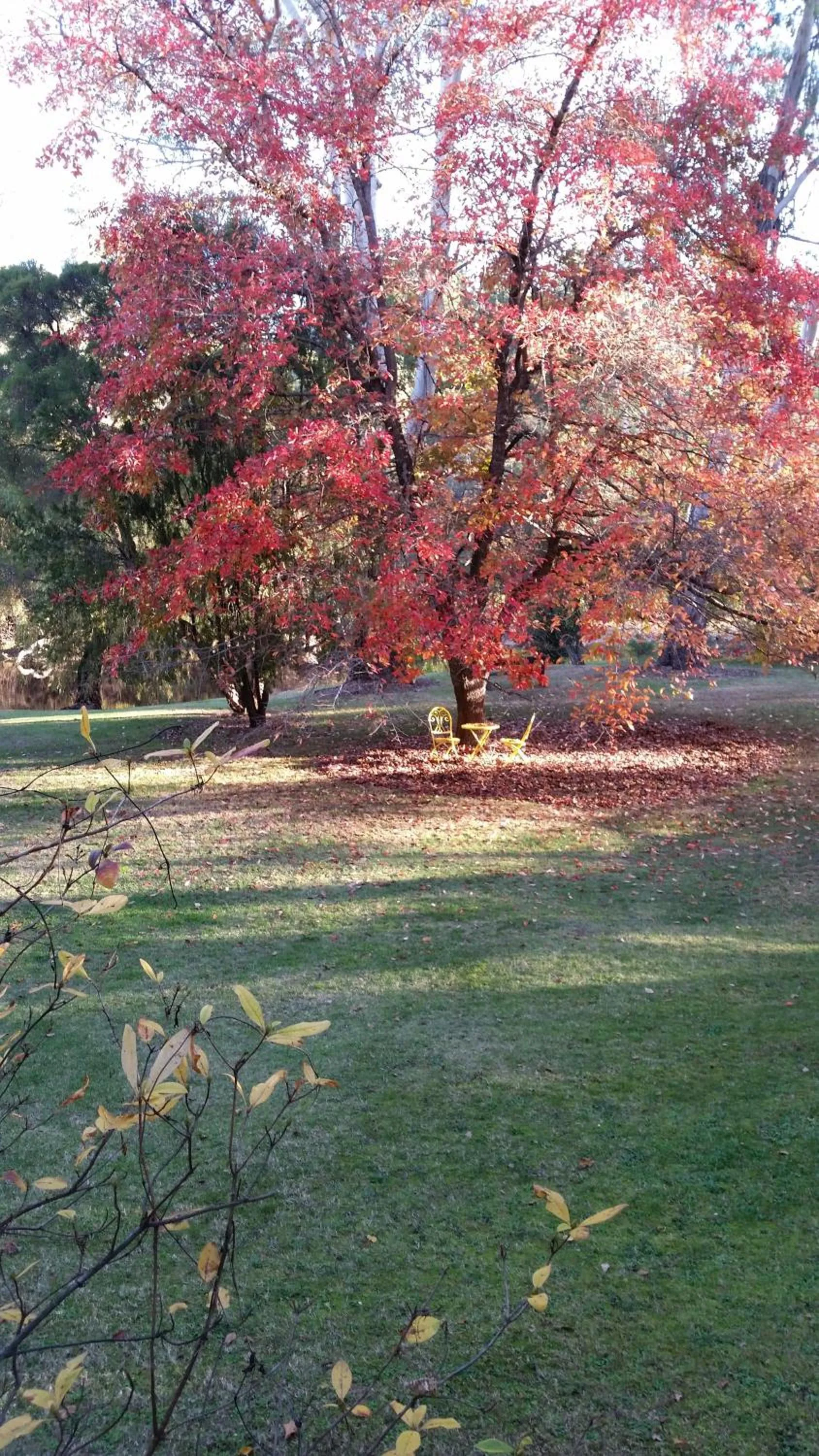 Alpine Riverside Cottages