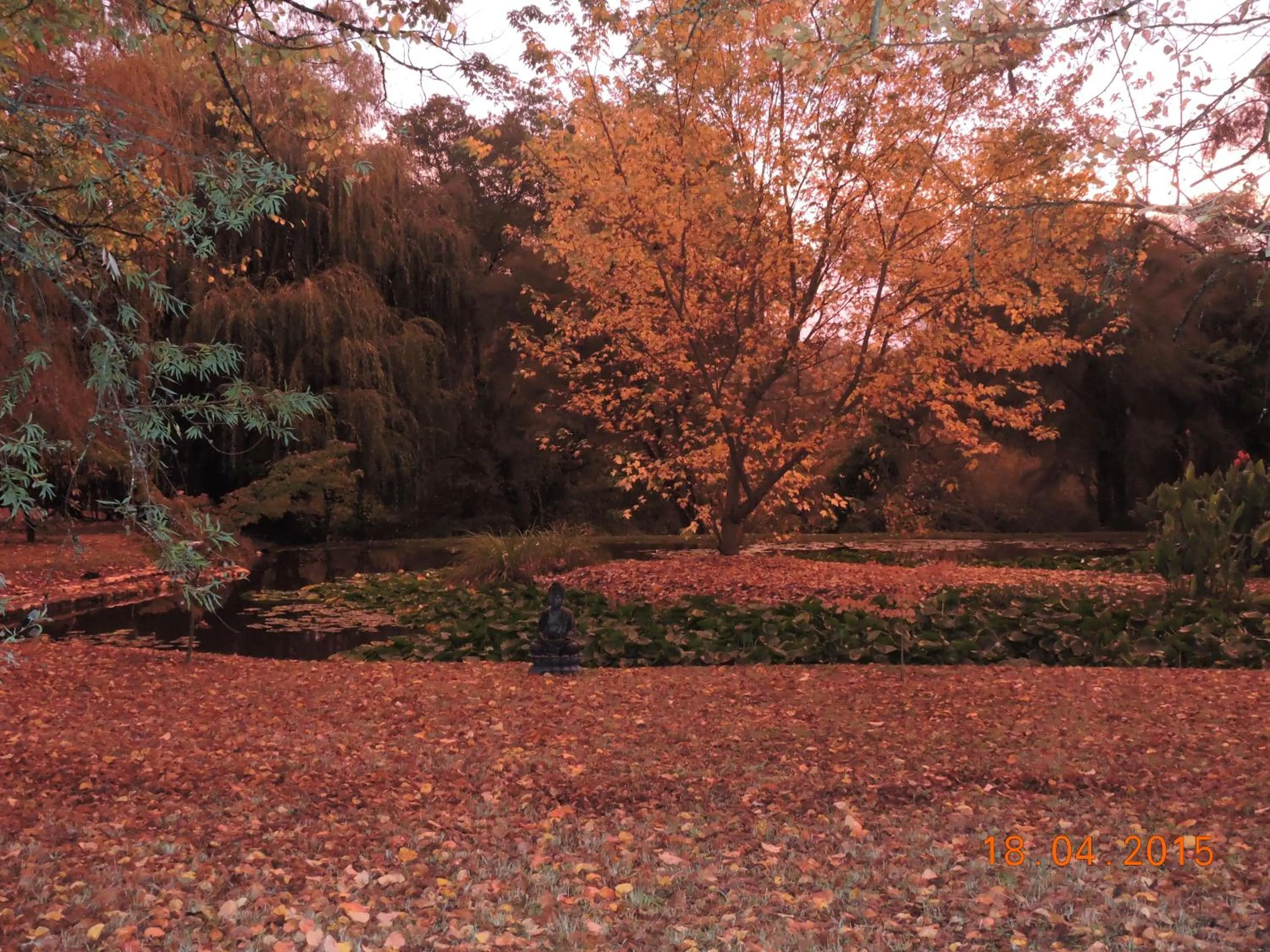 Alpine Riverside Cottages