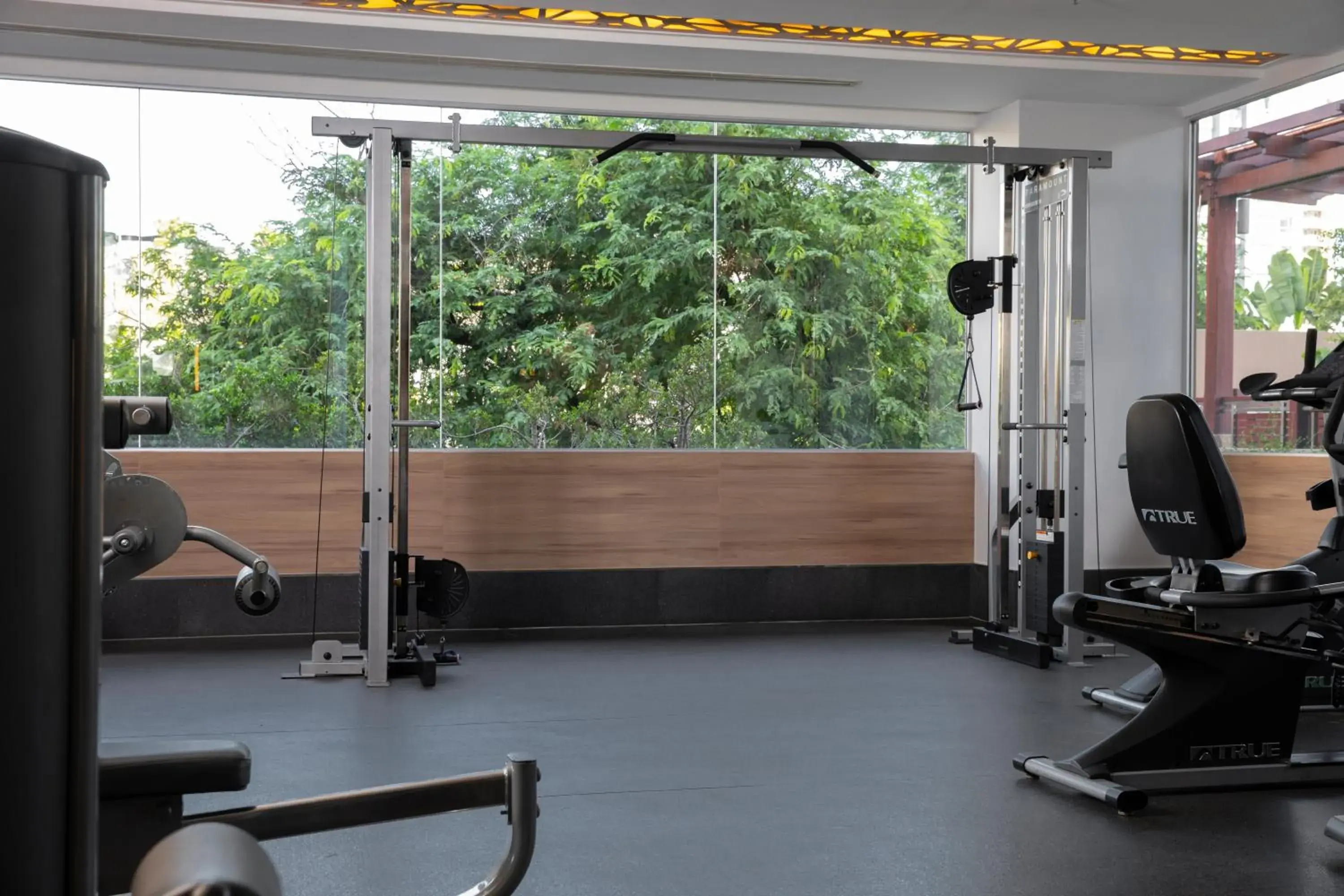 Fitness centre/facilities in Adelphi Grande Sukhumvit Fitness centre/facilities in Adelphi Grande Sukhumvit