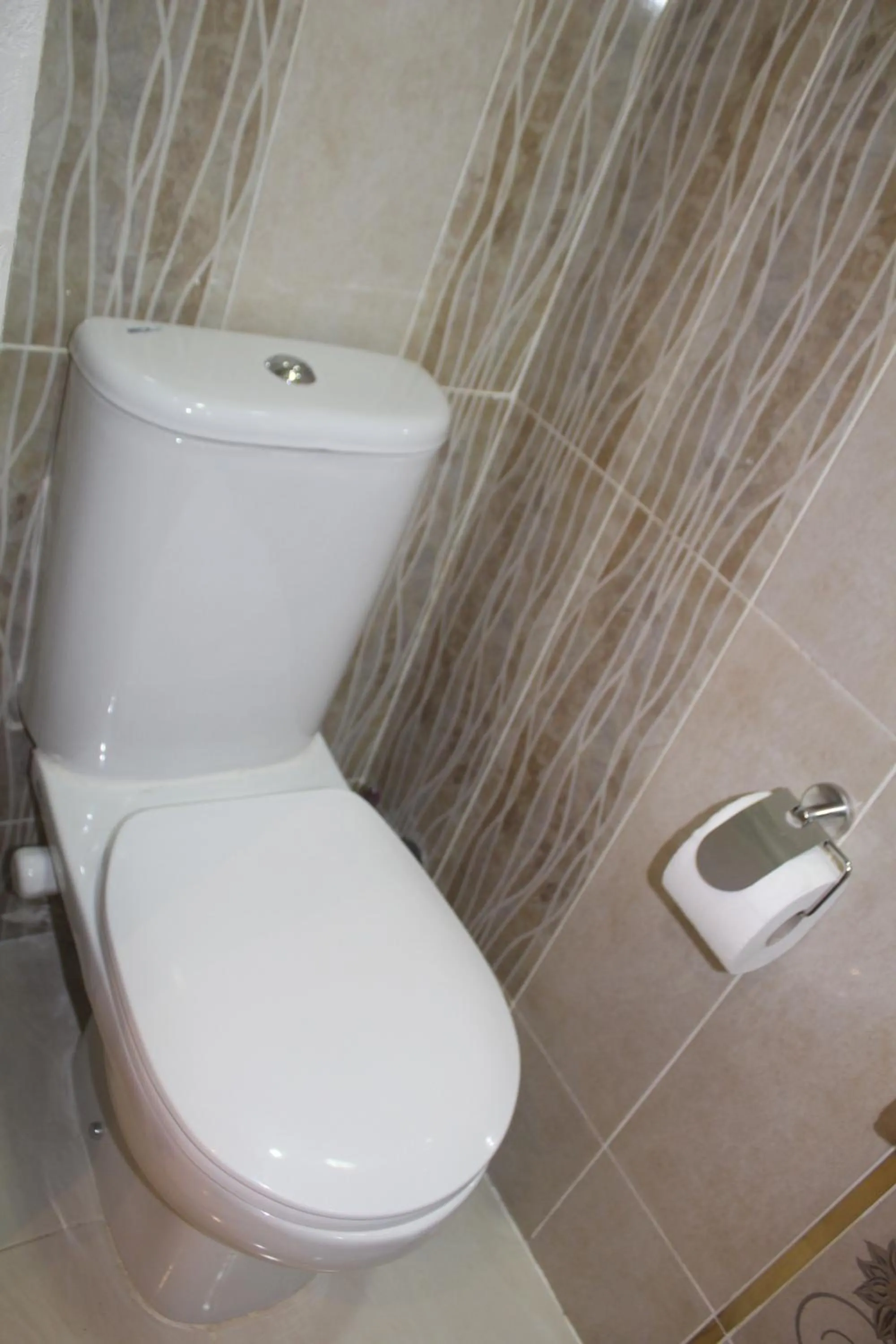 Toilet in Tahrir Square Hostel