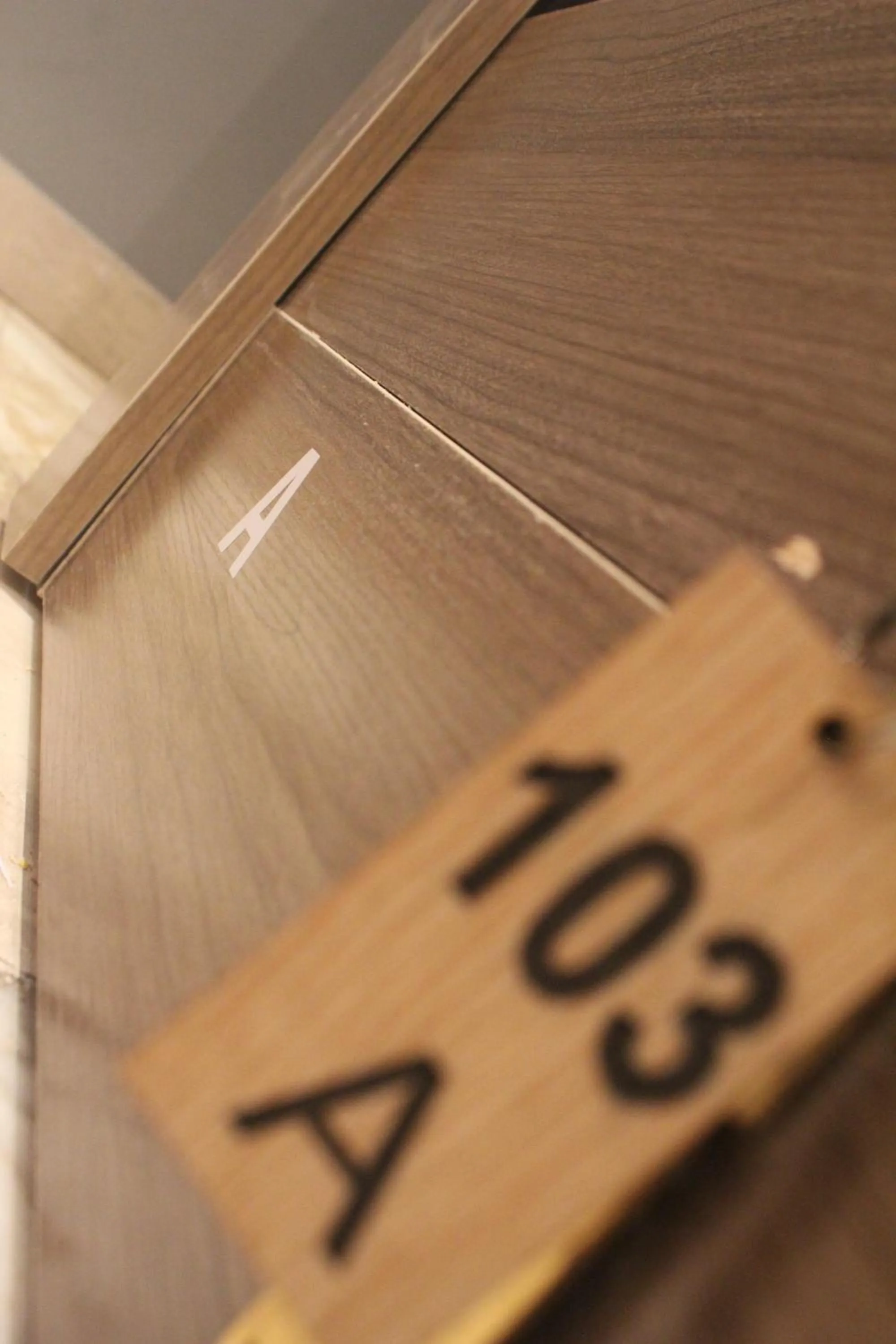 Logo/Certificate/Sign in Tahrir Square Hostel