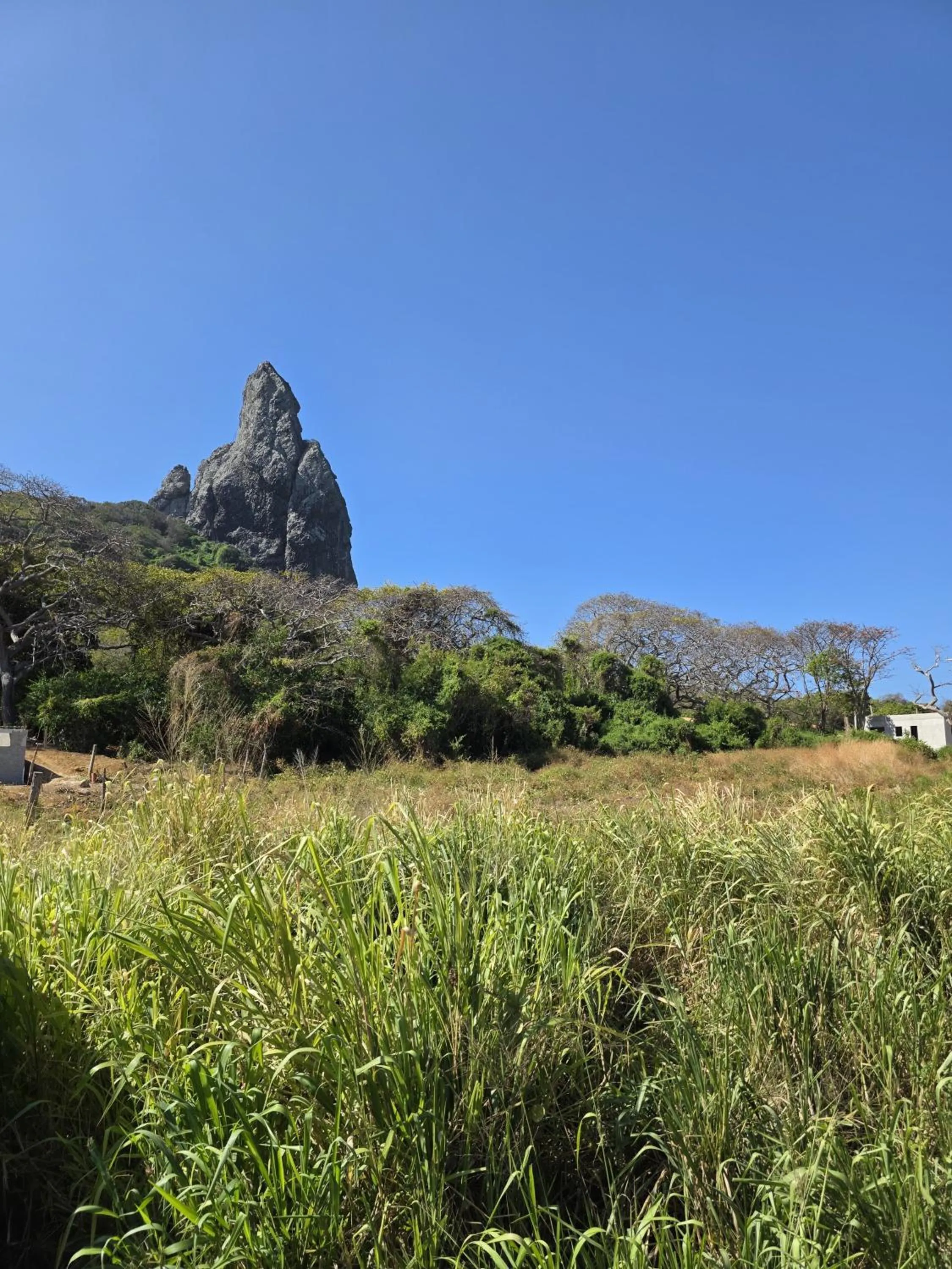 Casa da Ilha