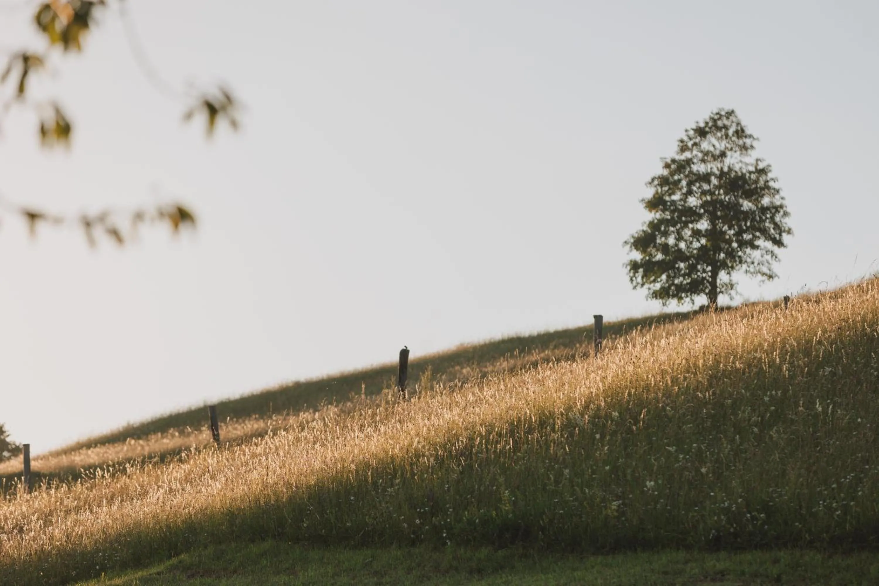 Natural landscape in Tourist Farm Pr'Dovar